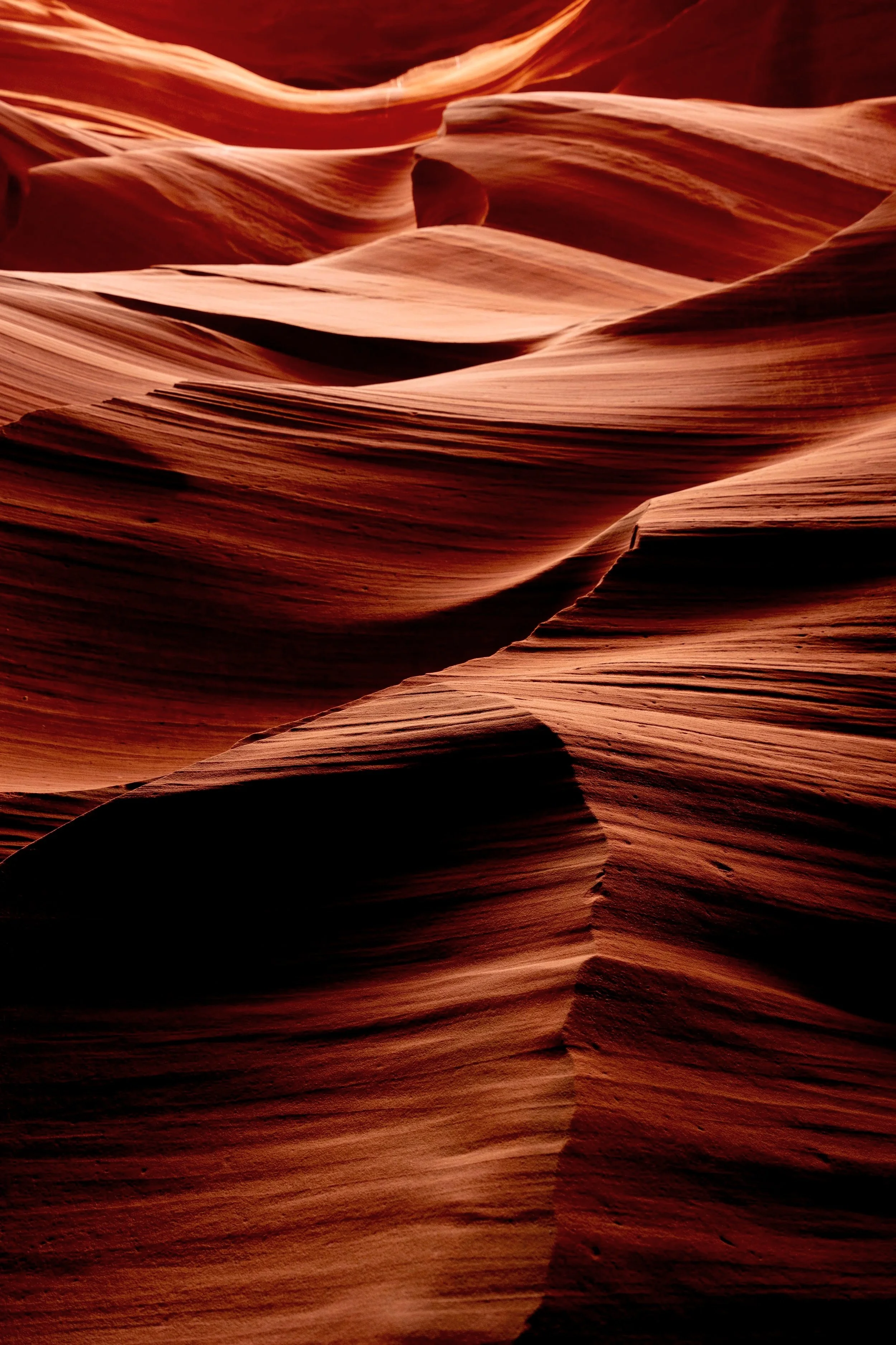 Sculpted Light