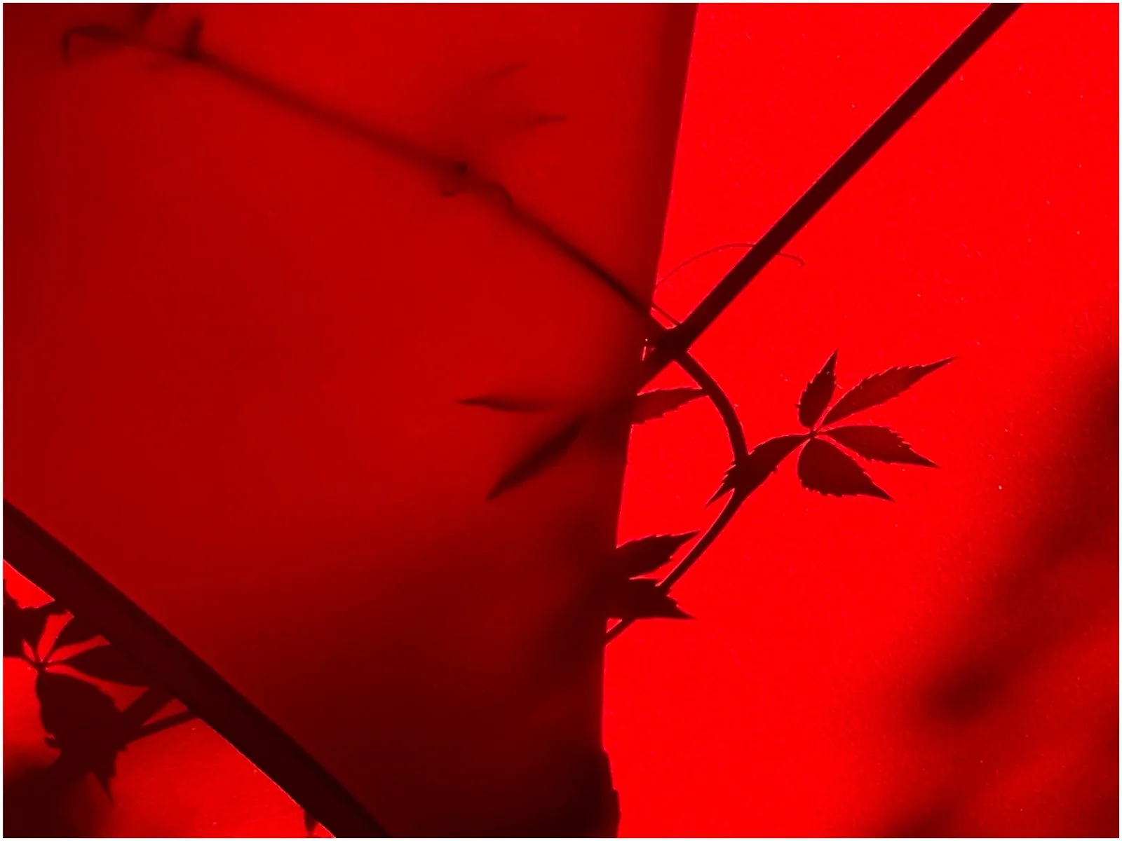 Red Passage