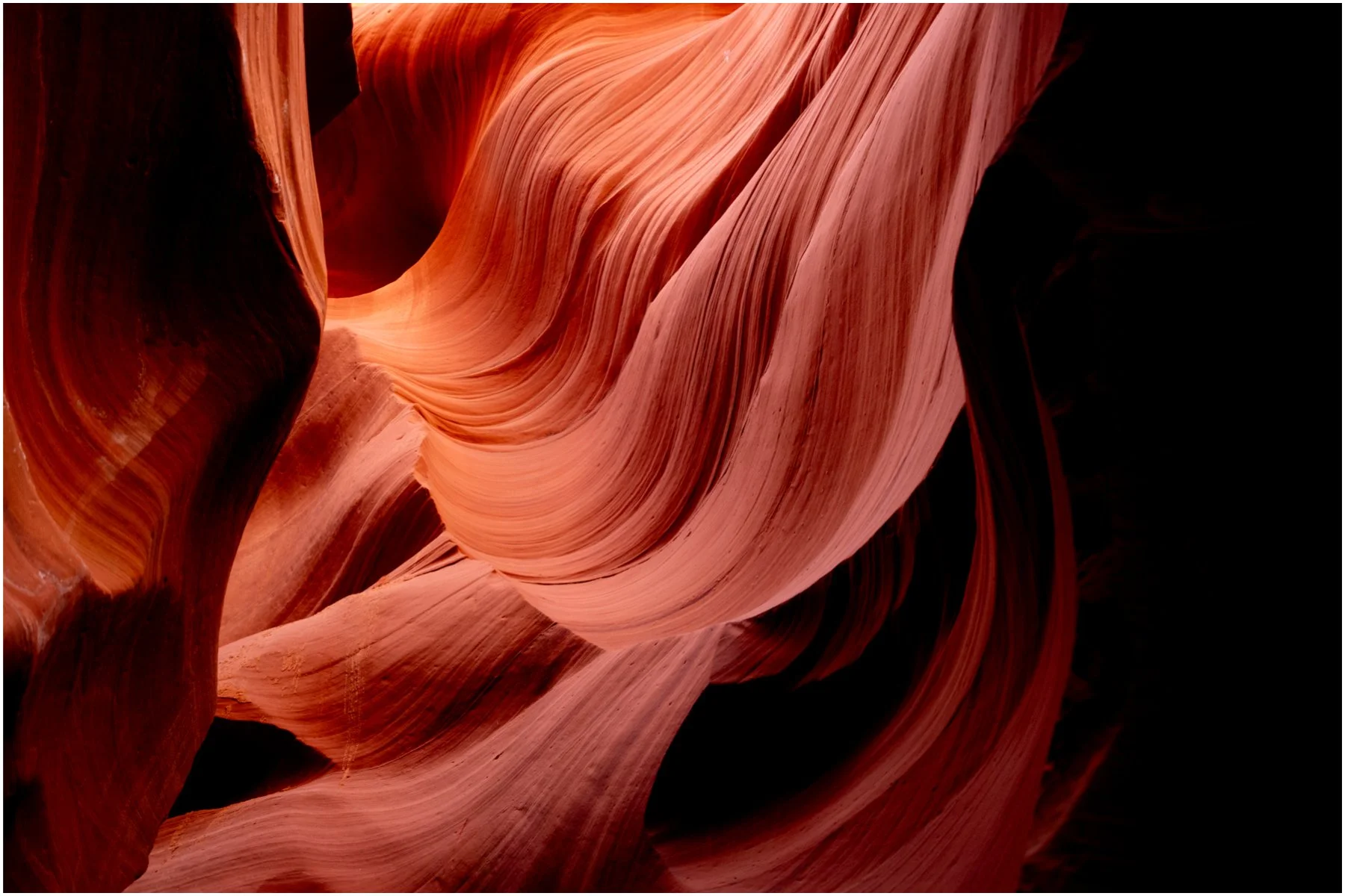 Emergent Form