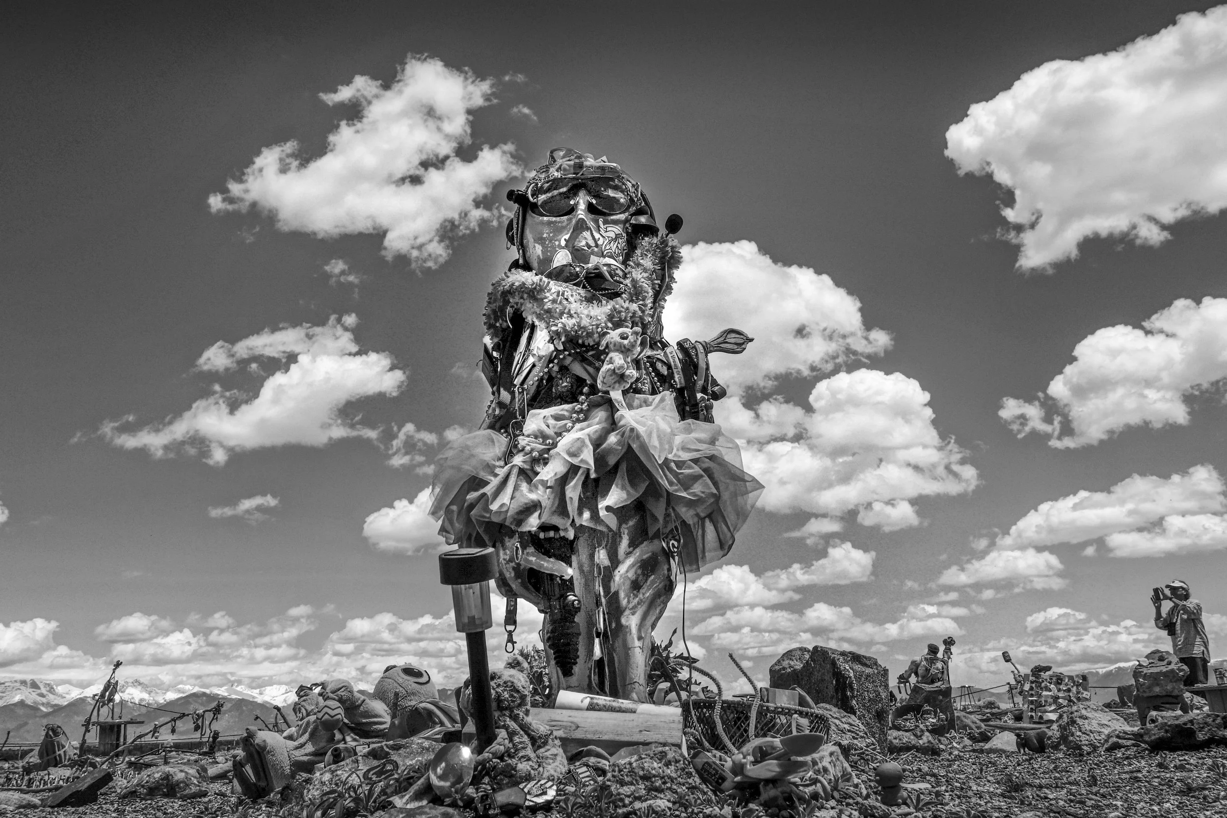 Sentinel