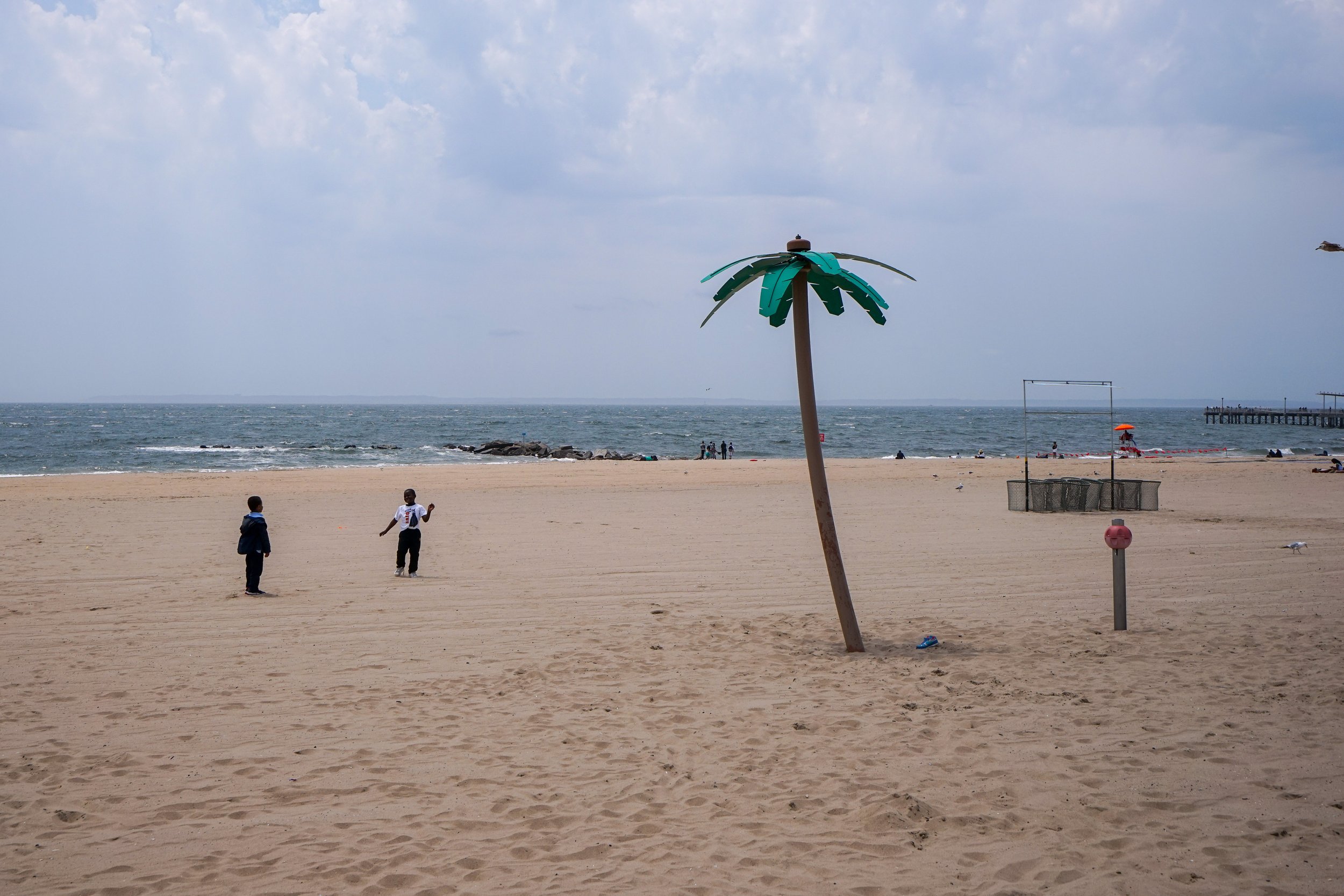 Palm Tree Color.jpg