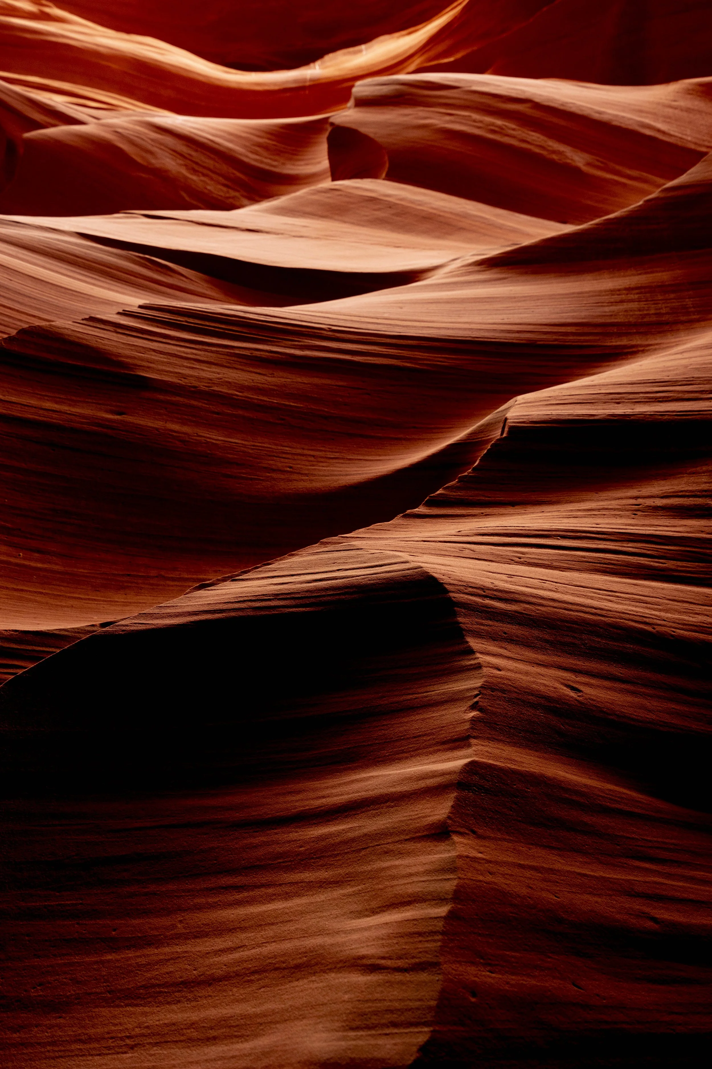Sculpted Light