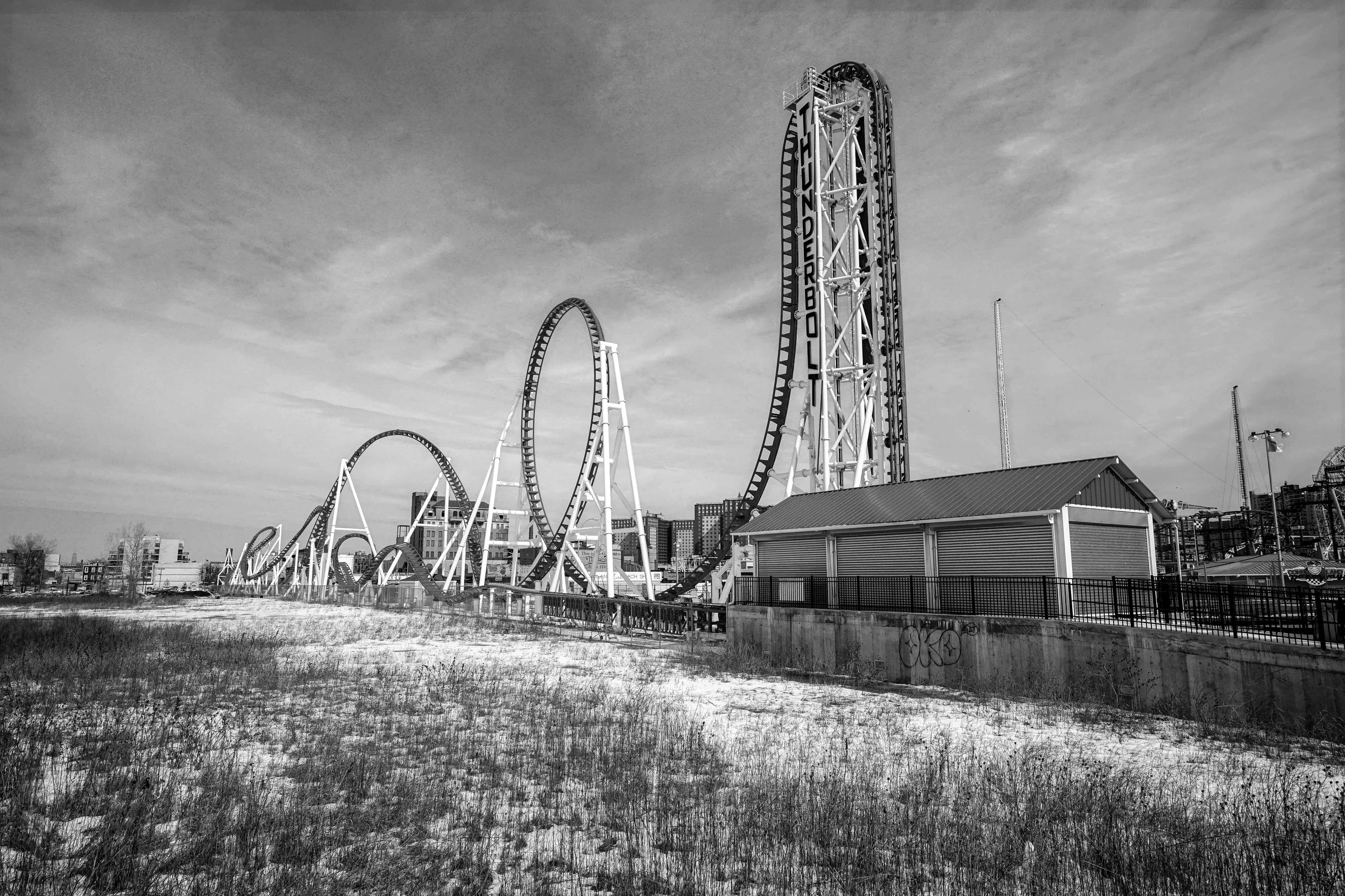 Thunderbolt B&W.jpg