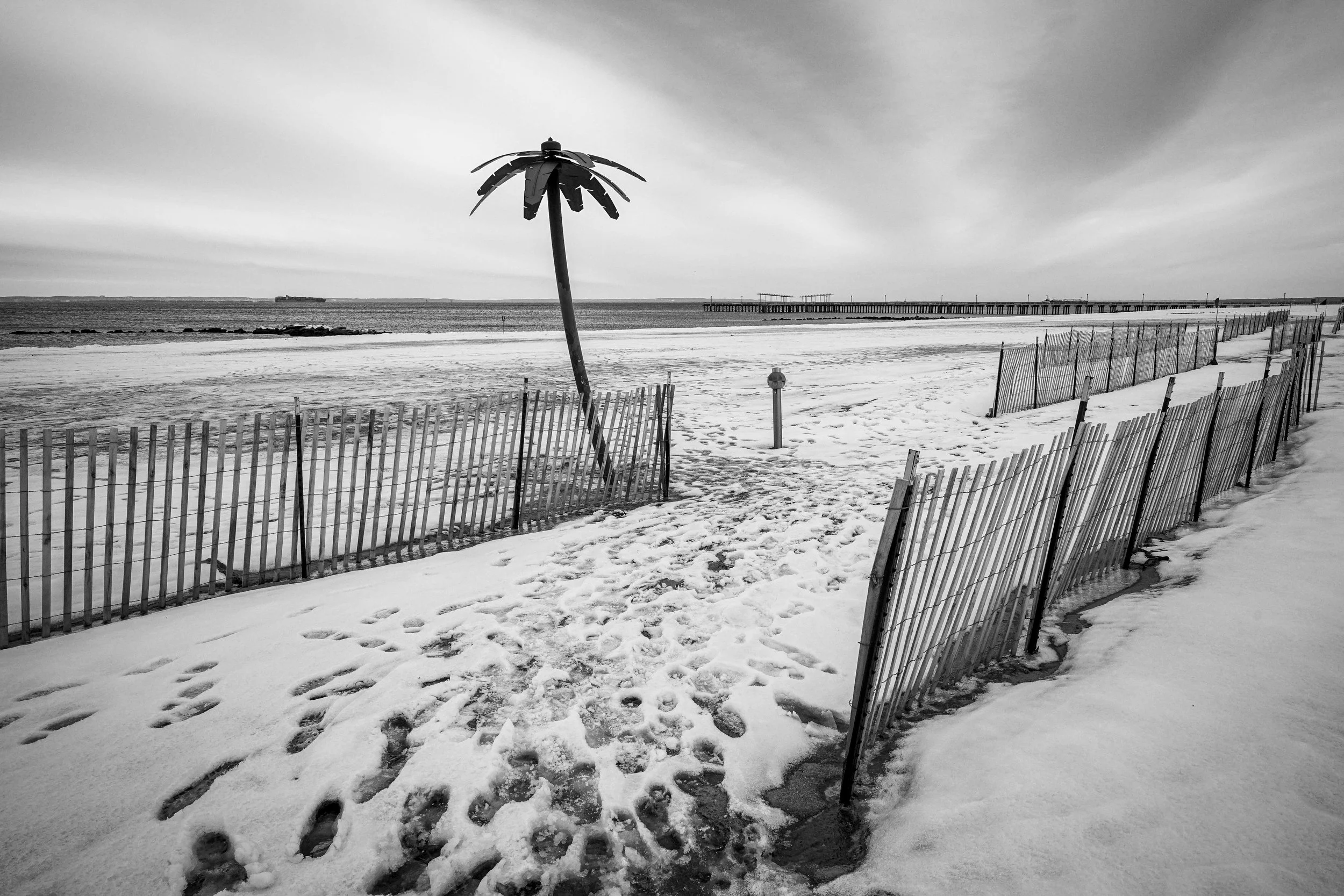 The Winter Beach