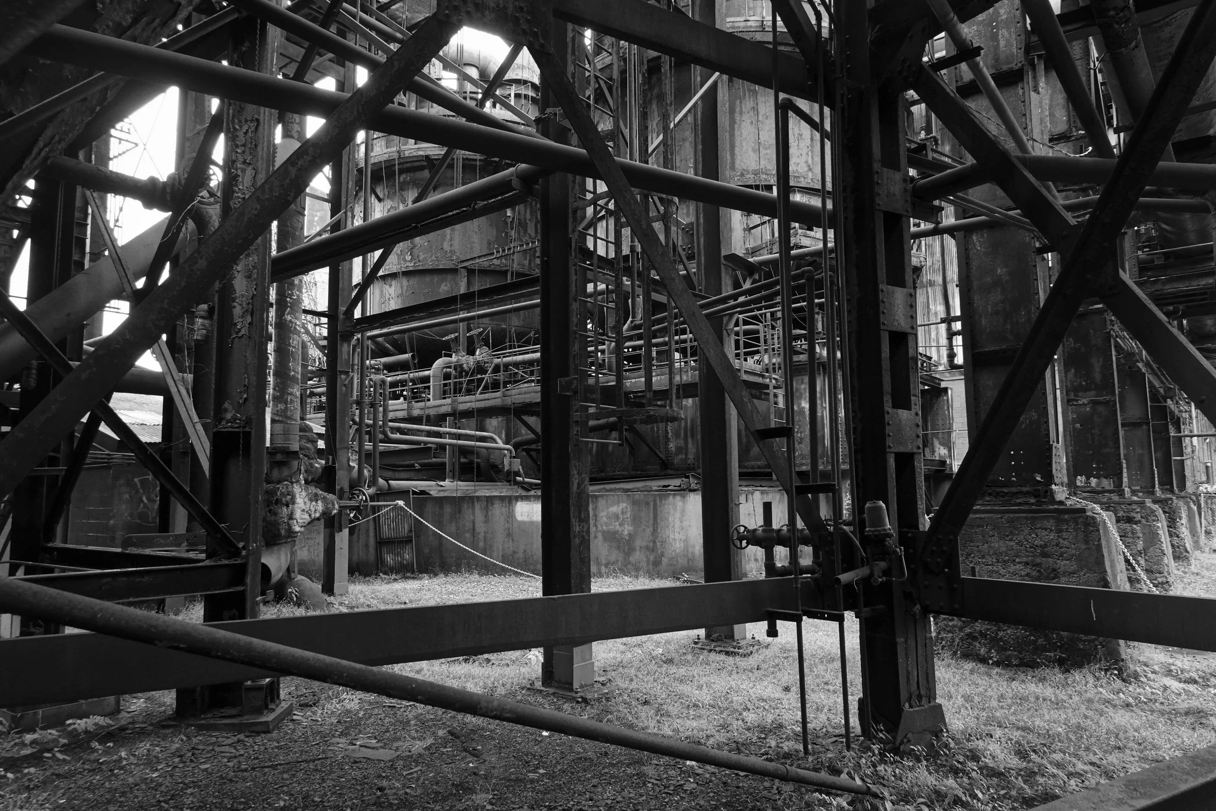 Interior Field