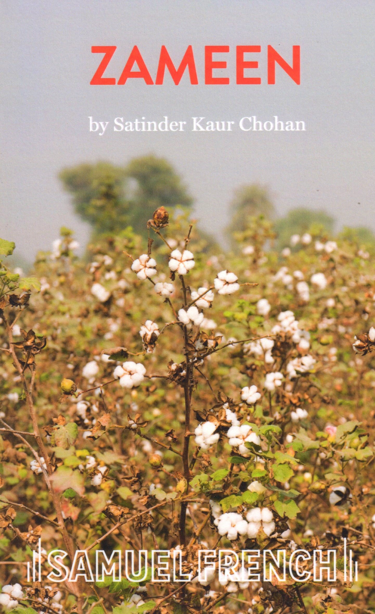 Zameen Playscript009.jpg
