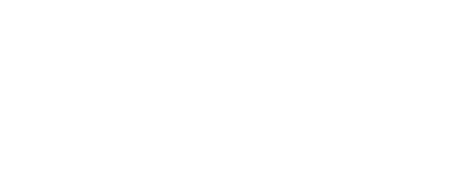Daniel Levine Property