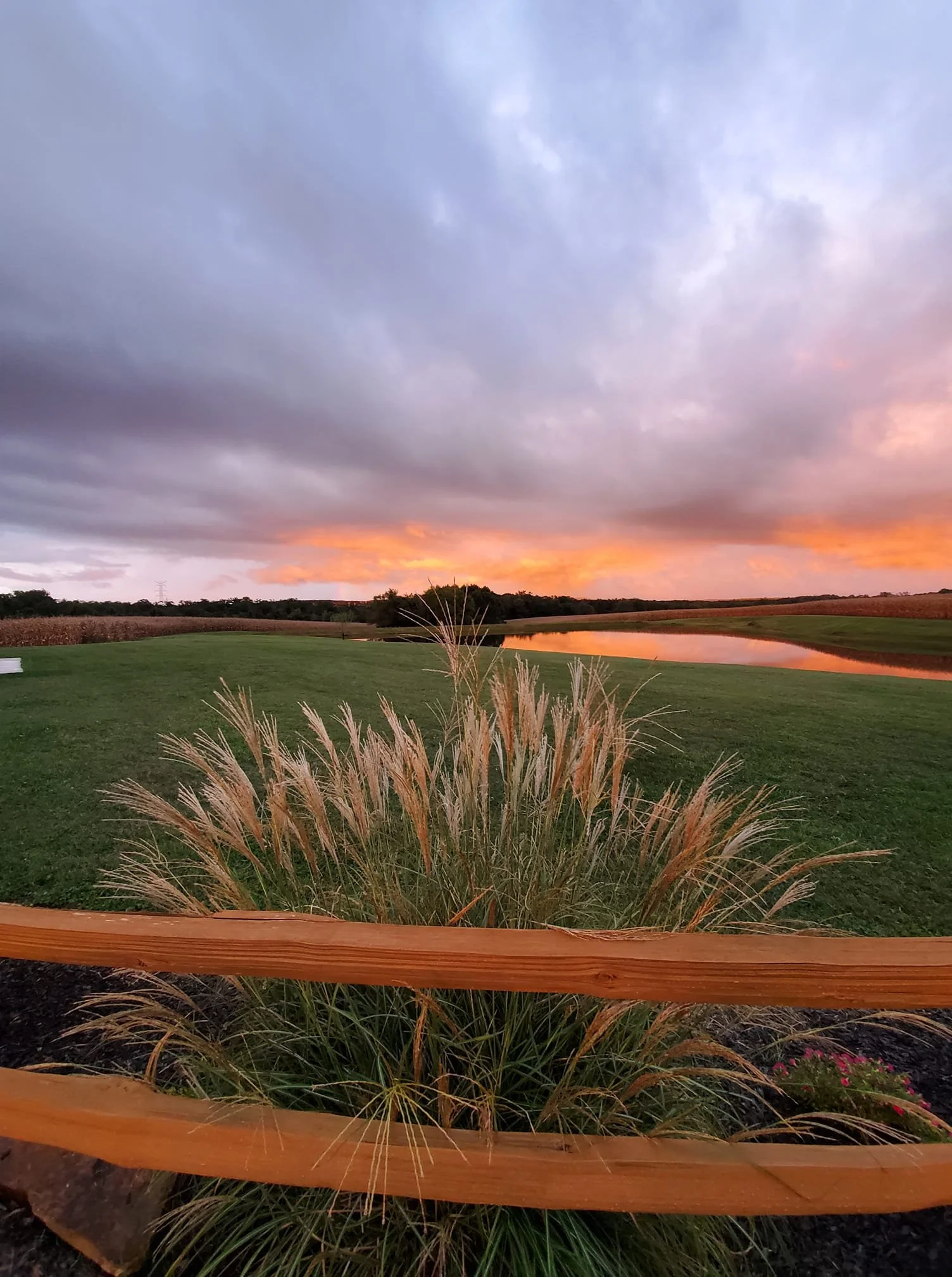 A serene landscape feature with tall ornamental grasses in the foreground, a grassy field, a body of water reflecting the colorful sunset sky, and a partly cloudy sky at dusk.