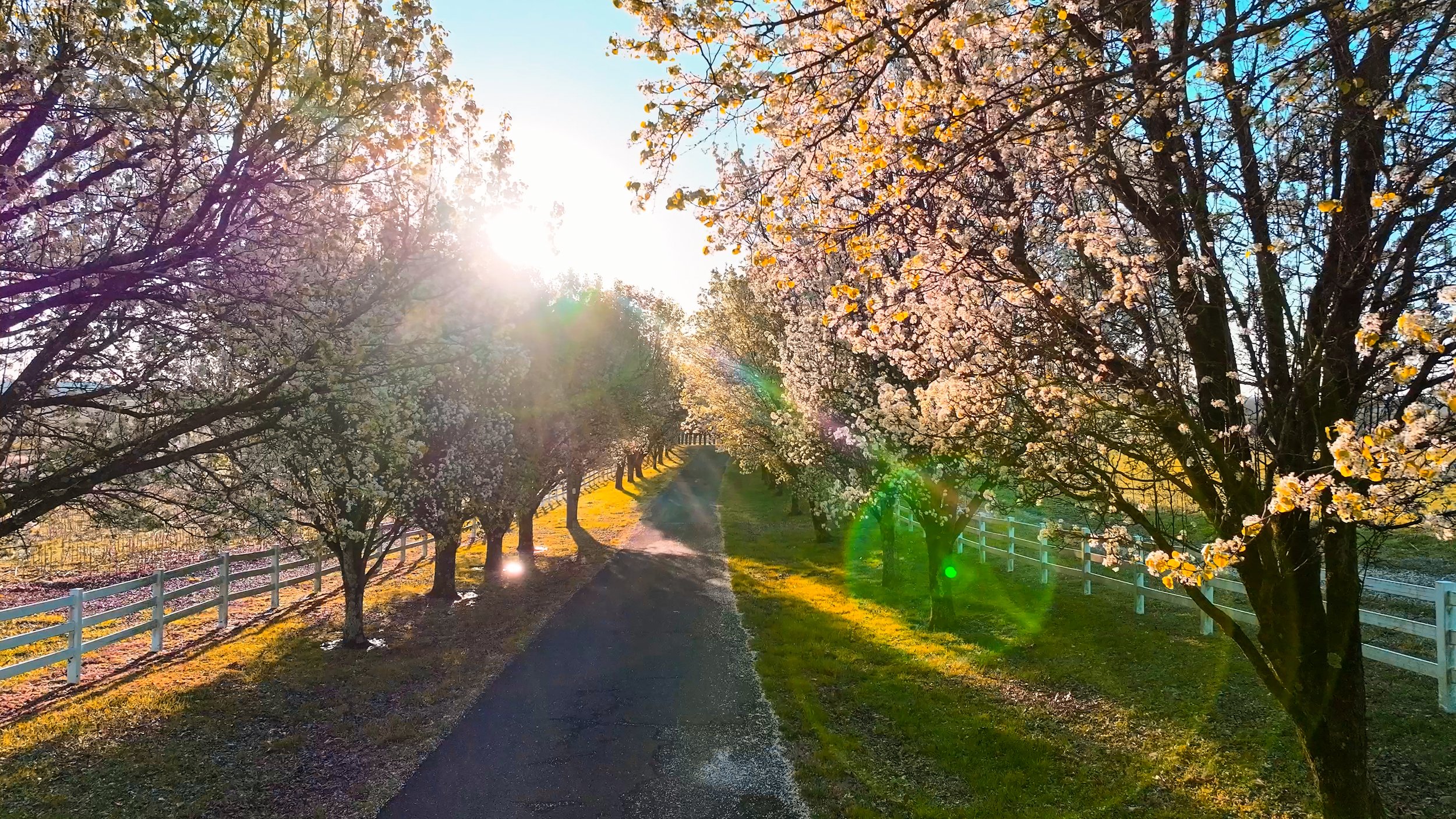 Castle Rock drone screenshots-13.jpg