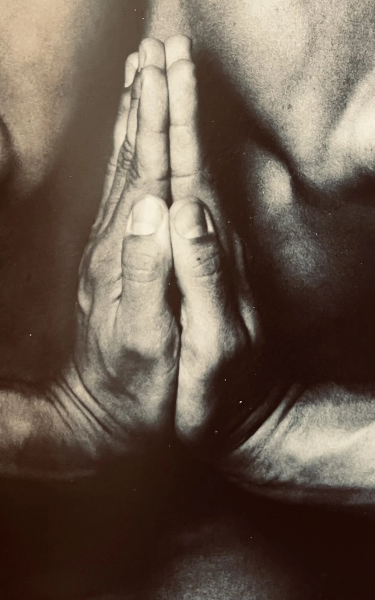 © 2026 Lupee. Fokus på sundhed og nærvær.