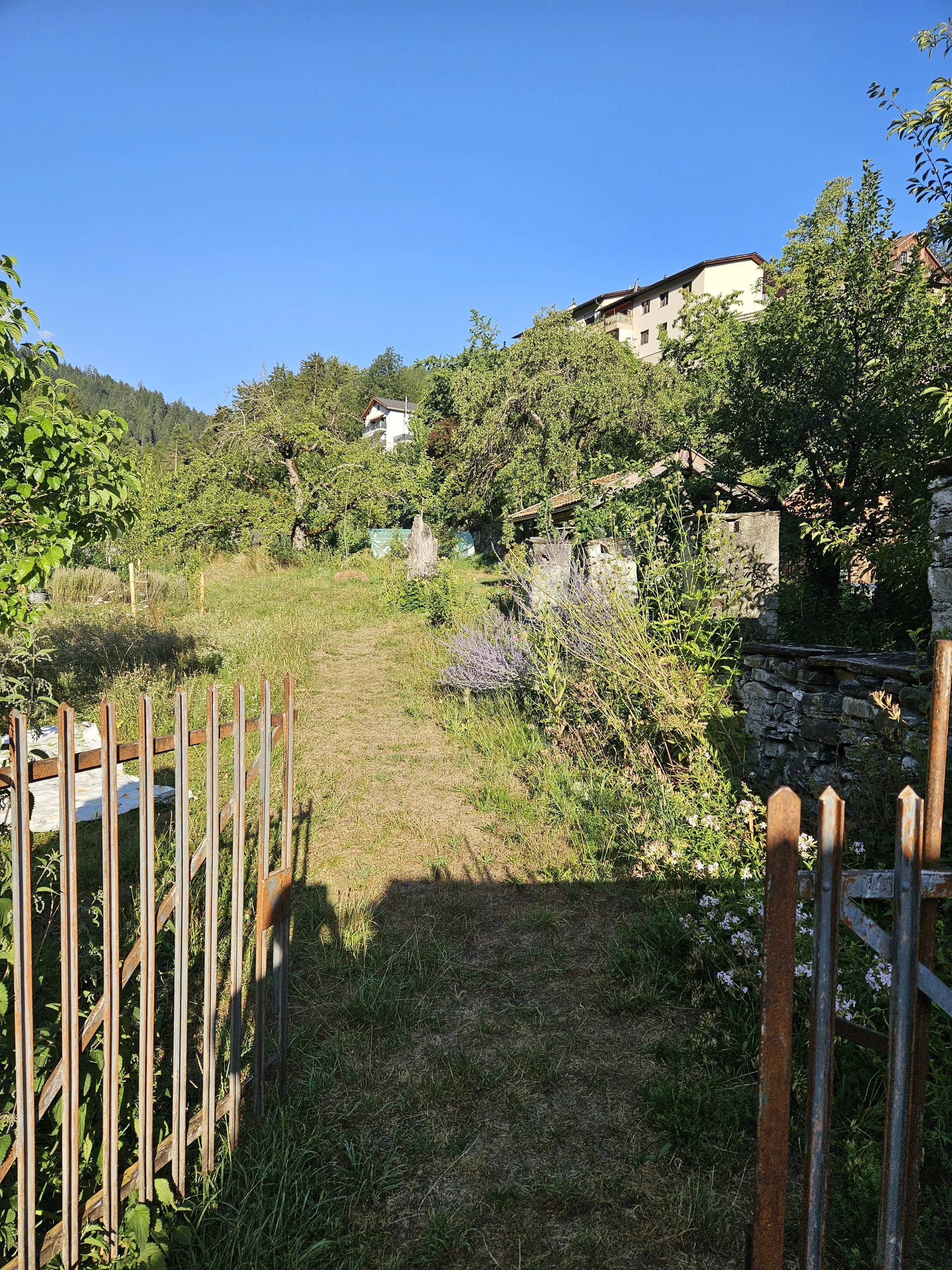 Nollagarten, Thusis, Achtsamkeit in der Natur