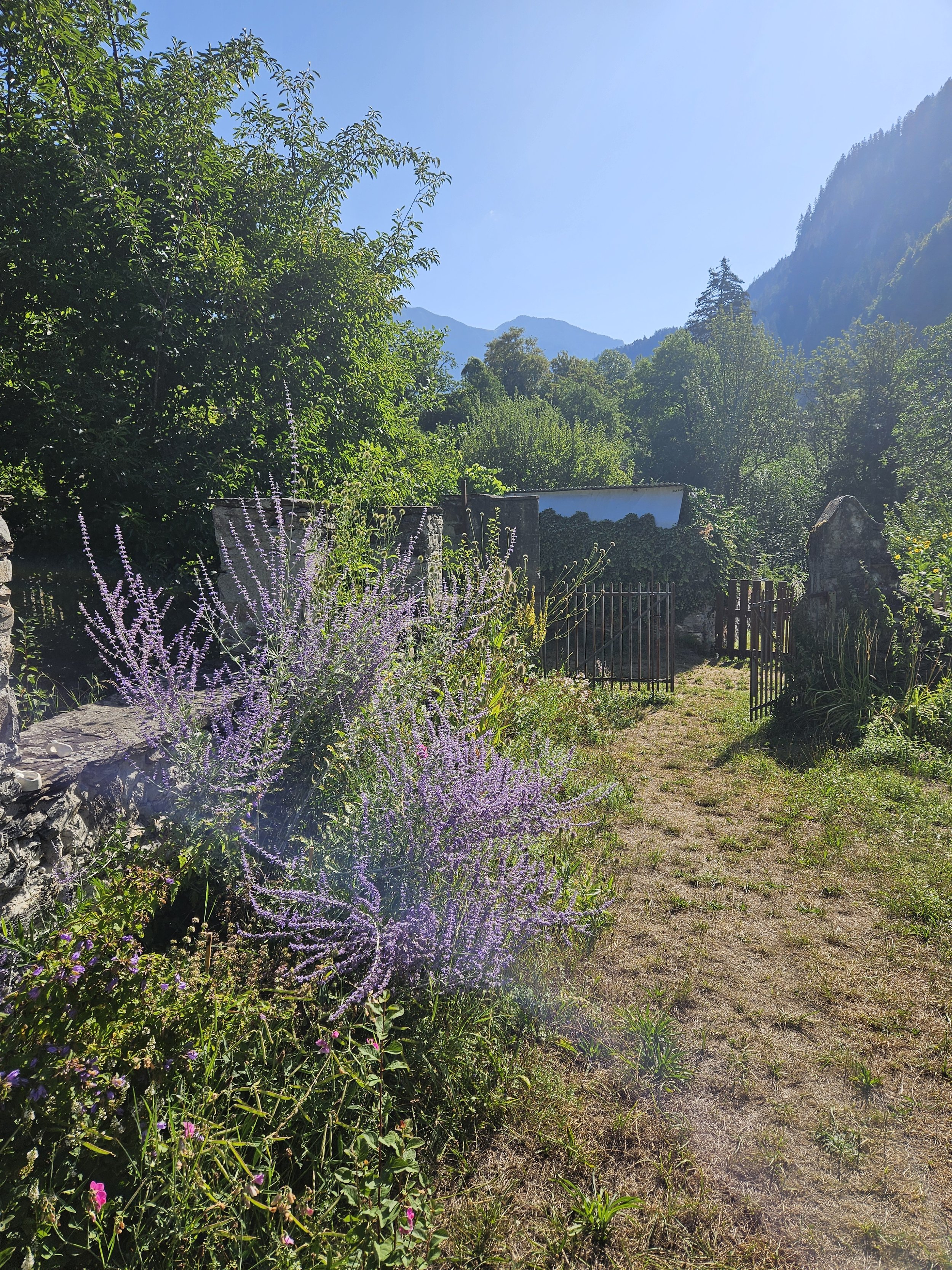 Eingang Nollagarten, Achtsamkeit in der Natur