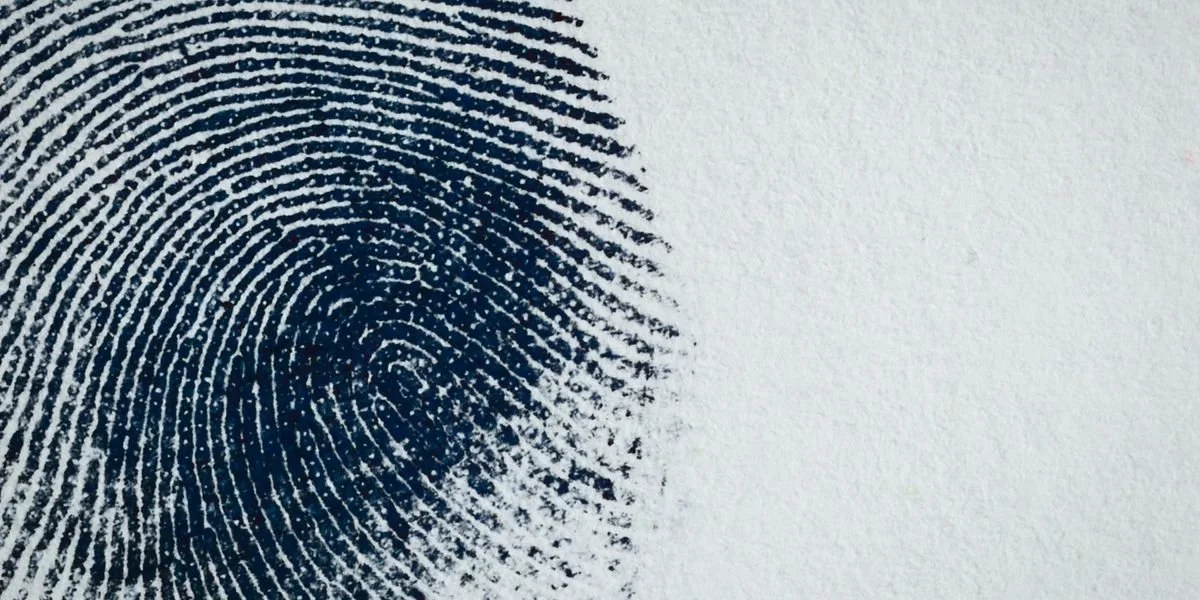 NEW SHOW: IMPRINTS