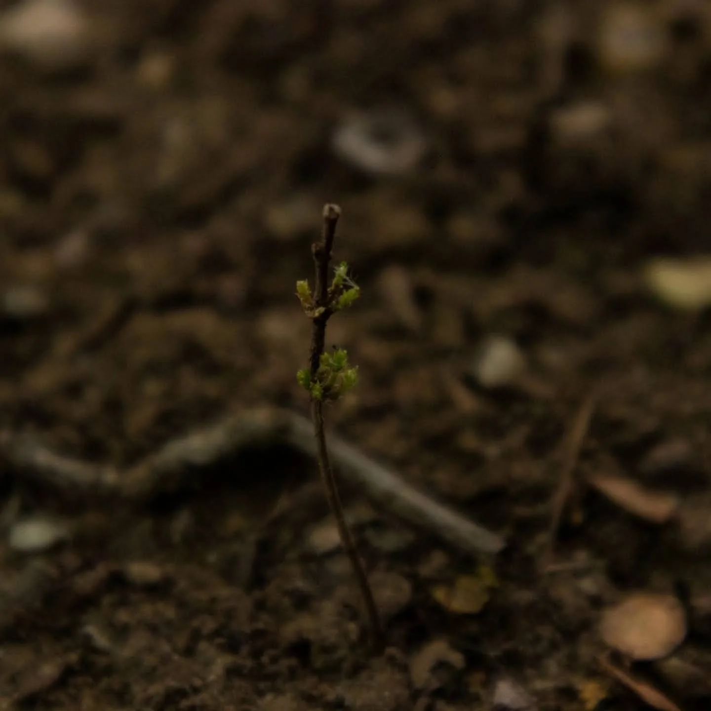 Welcome To The World,
Kathryn Guy, Digital Photography, 30cm by 30cm, 2024​
