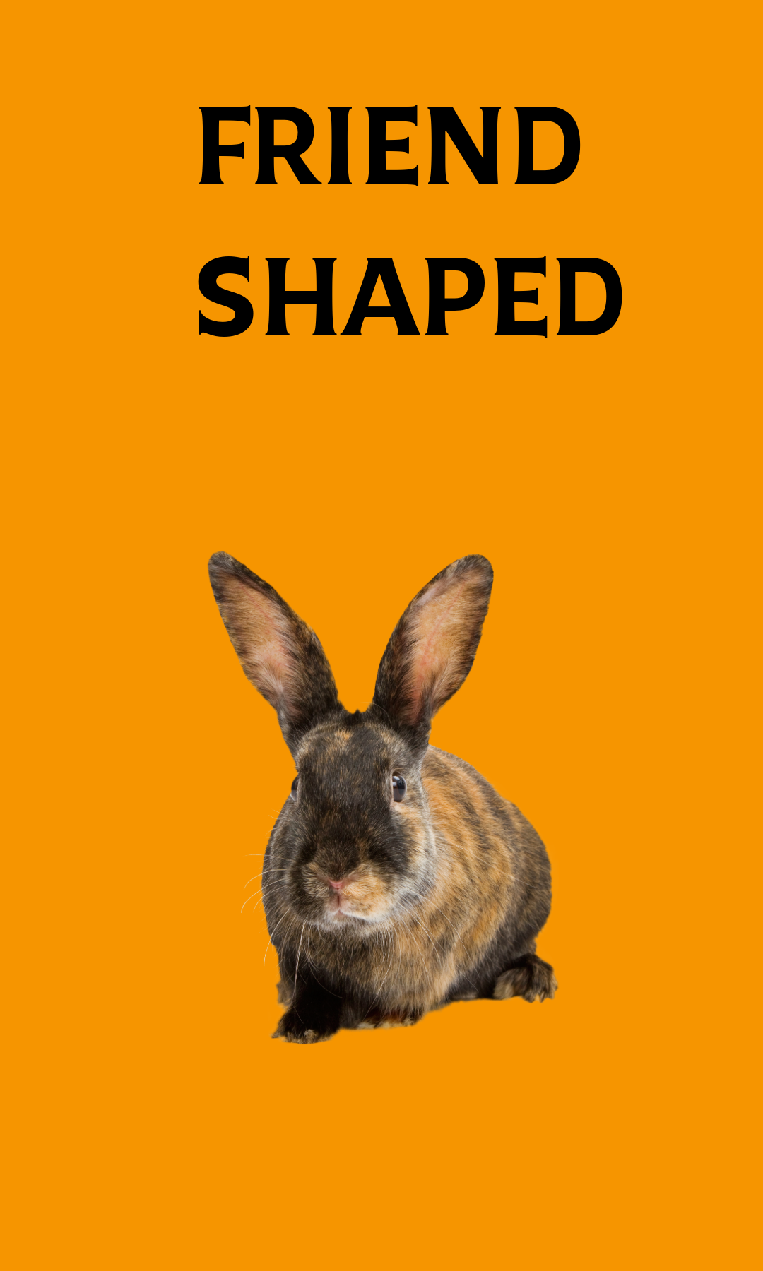 Friend shaped with bunny