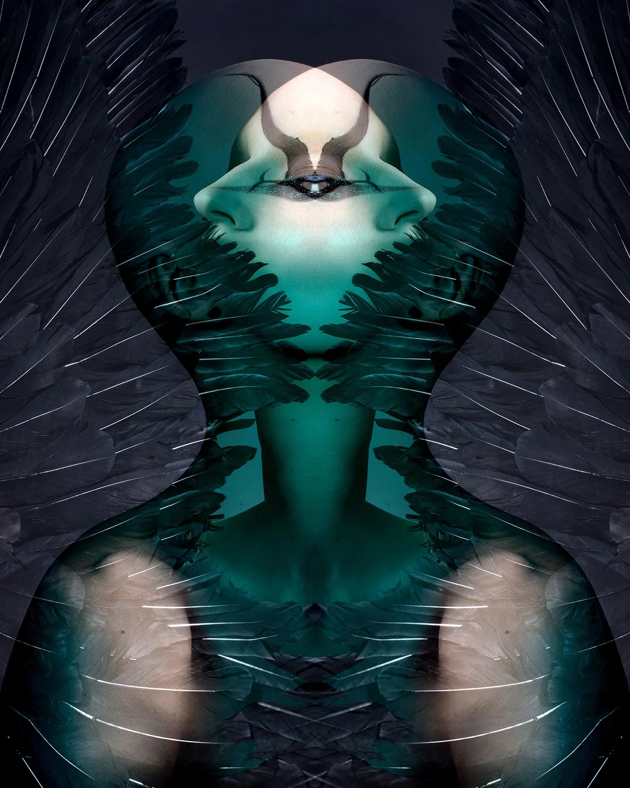 ABSURD_BEAUTY_THEBIRD.jpg