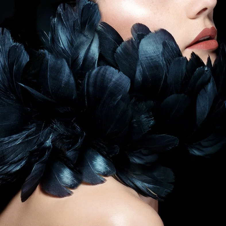 CLOSE_UP_PLUME_MDEF.jpg