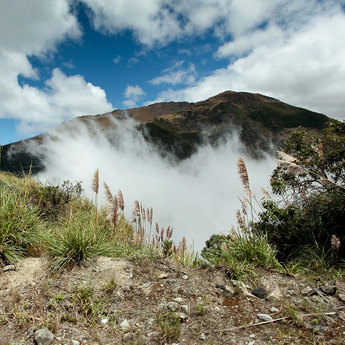 CUANCA_16_-47.jpg