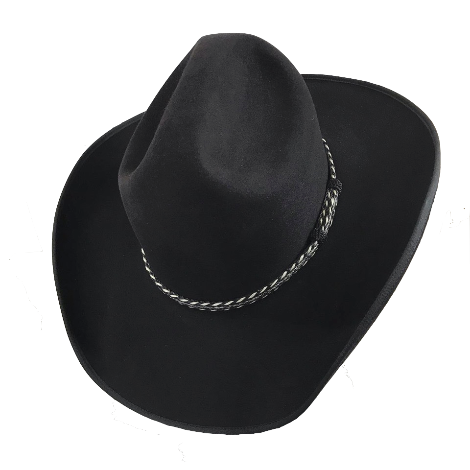 Image 3-15-26 at 12.00 PM.png