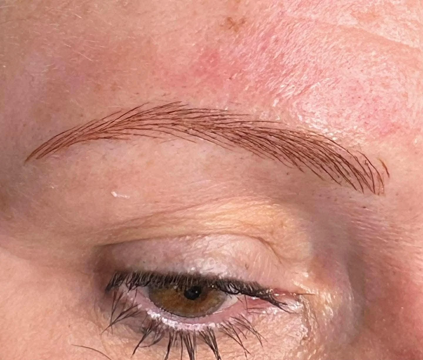 Close-up of a person's eye with makeup and a well-groomed eyebrow.