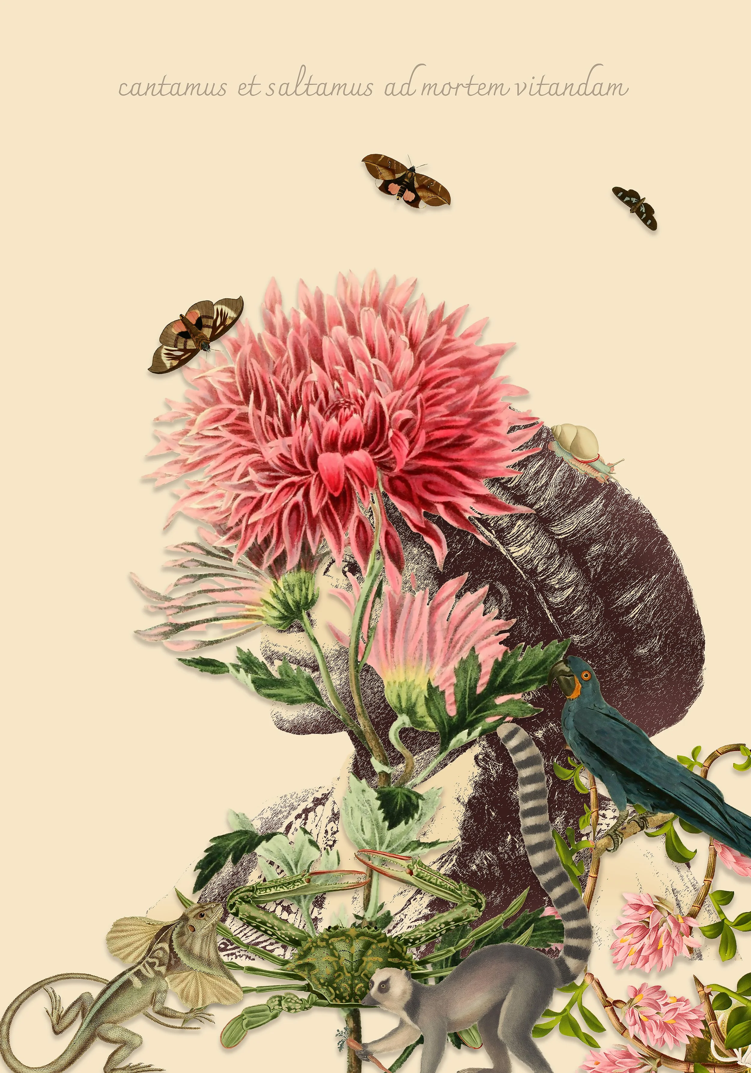 We sing and dance to avoid death
Digital print on etching paper, blind embossing
55 cm x 78 cm
2024