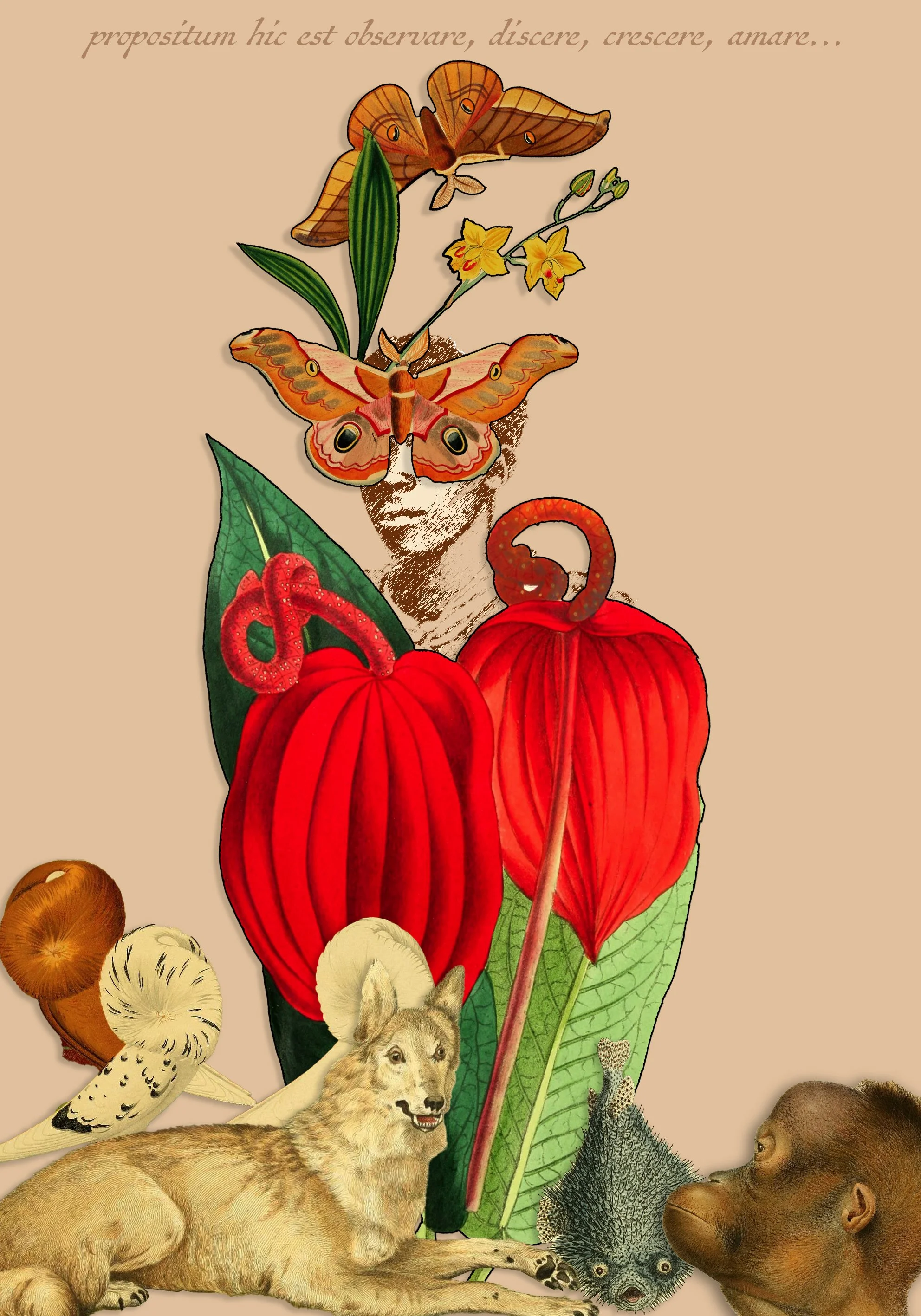 our purpose here is to observe, to learn, to grow, to love. Digital print on etching paper, blind embossing
55 cm x 78 cm
2024