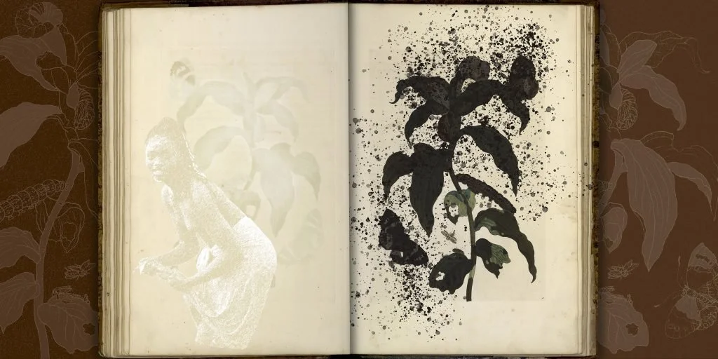 Of Palimpsests and Erasure, 2021

8 digital prints on Hahnemühle paper, each print 50 x 111 cm
Credits: Produced through a commission of Centraal Museum Utrecht
Provenance of the original images of ‘Metamorphosis Insectorum Surinamensium’ by Maria Sy