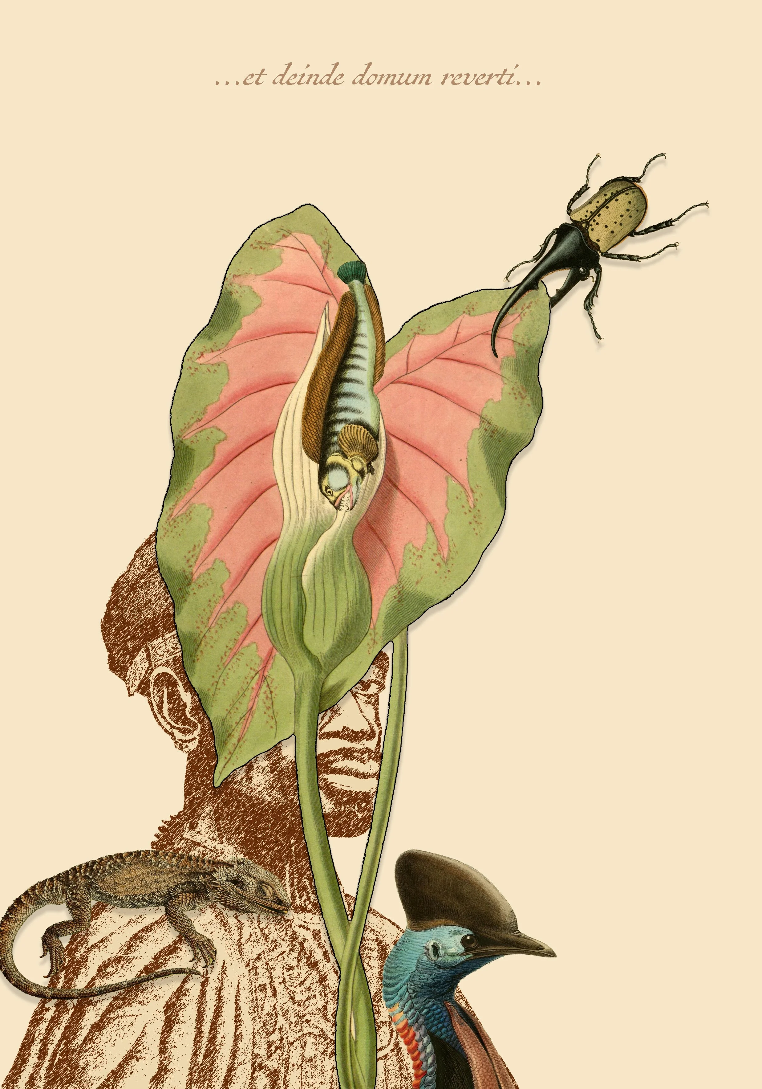 … and then we return home…
Digital print on etching paper, blind embossing
55 cm x 78 cm
2024