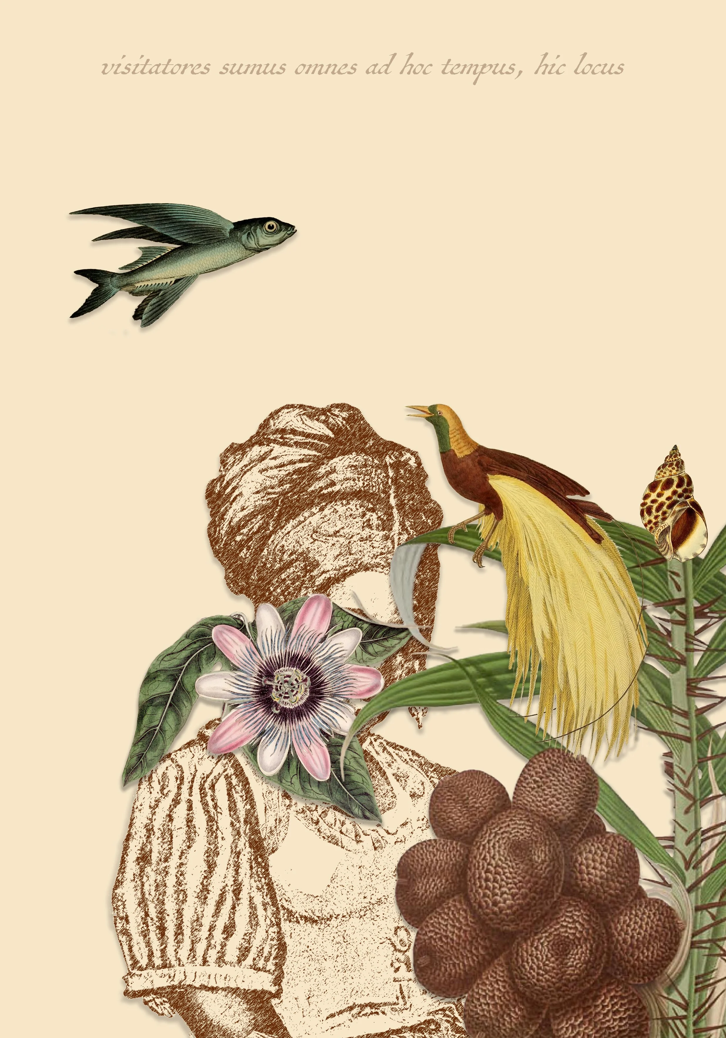 We are all visitors to this time, this place. 
Digital print on etching paper, blind embossing
55 cm x 78 cm
2024