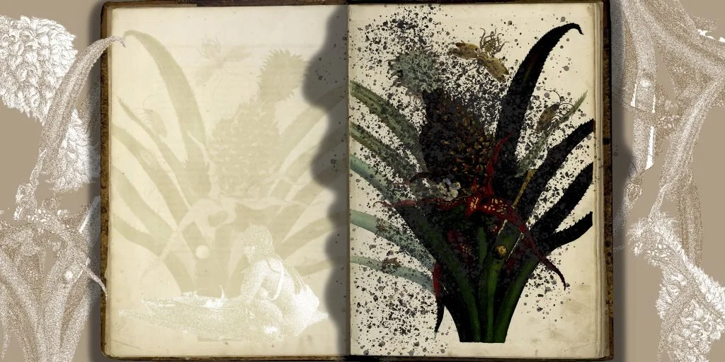 Of Palimpsests and Erasure, 2021

8 digital prints on Hahnemühle paper, each print 50 x 111 cm
Credits: Produced through a commission of Centraal Museum Utrecht
Provenance of the original images of ‘Metamorphosis Insectorum Surinamensium’ by Maria Sy