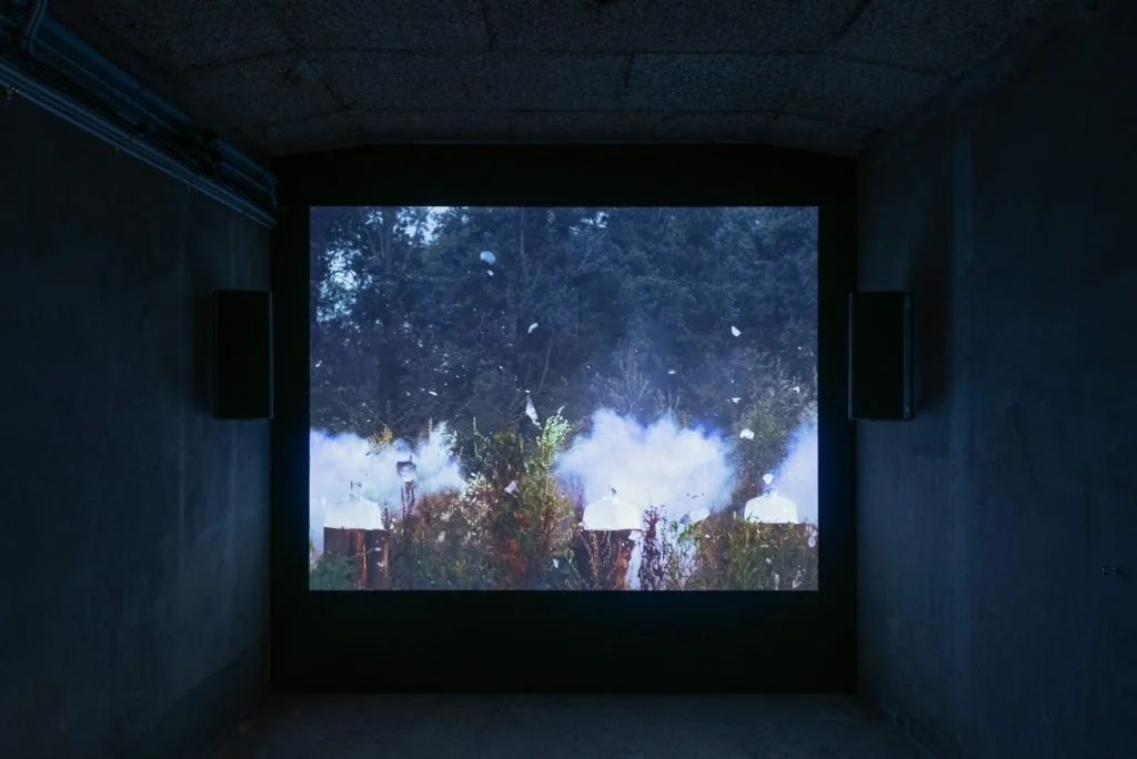 Patricia Kaersenhout What a Piece of Work is Man, 2021

Multi-channel video installation, sound, glass, wooden trunks
Unique
Installation image at Het Hem, Zaanstad (NL)
Photo: Cassander Eeftinck Schattenkerk