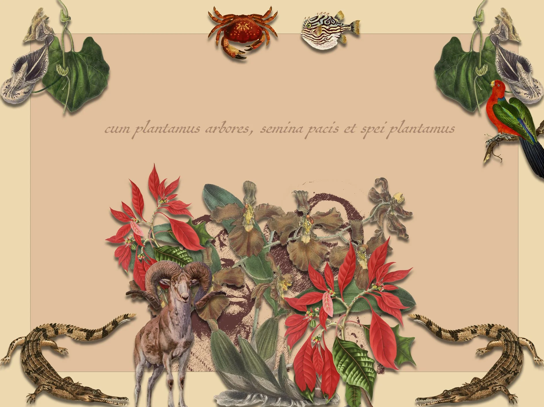 When we plant trees, we plant the seeds of peace and hope
Digital print on cotton mounted on paper, mixed media 
110 cm x 82 cm
2024