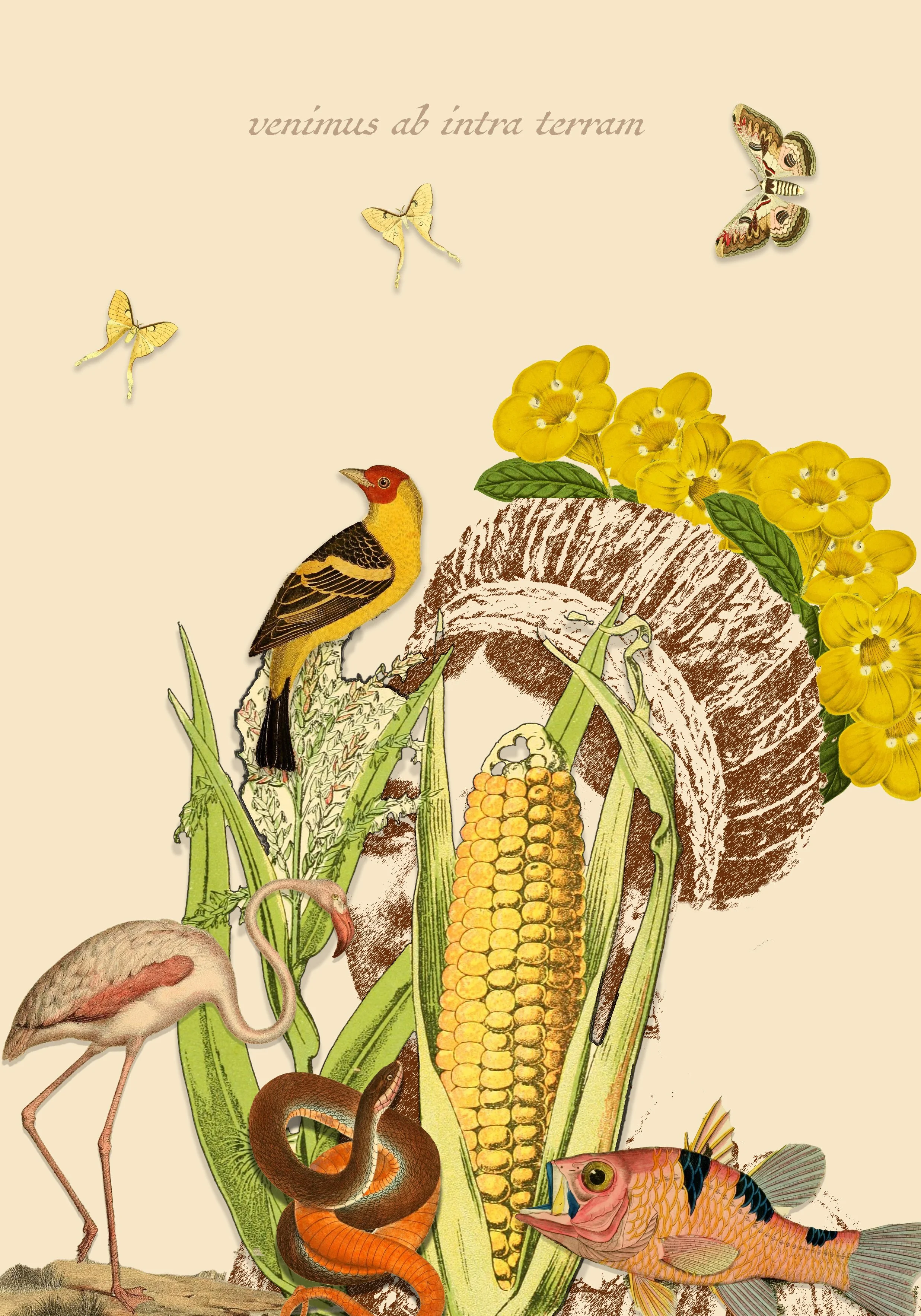 we come from within the land
Digital print on etching paper, blind embossing
55 cm x 78 cm