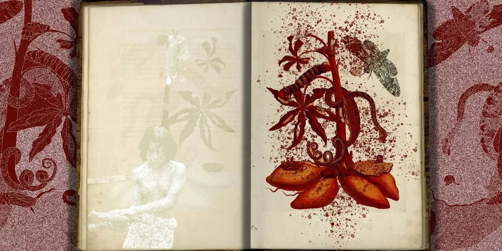 Of Palimpsests and Erasure, 2021.

8 digital prints on Hahnemühle paper, each print 50 x 111 cm
Credits: Produced through a commission of Centraal Museum Utrecht
Provenance of the original images of ‘Metamorphosis Insectorum Surinamensium’ by Maria S