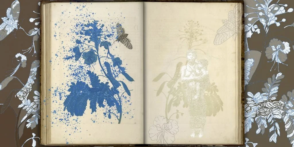 Of Palimpsests and Erasure, 2021.

8 digital prints on Hahnemühle paper, each print 50 x 111 cm
Credits: Produced through a commission of Centraal Museum Utrecht
Provenance of the original images of ‘Metamorphosis Insectorum Surinamensium’ by Maria S