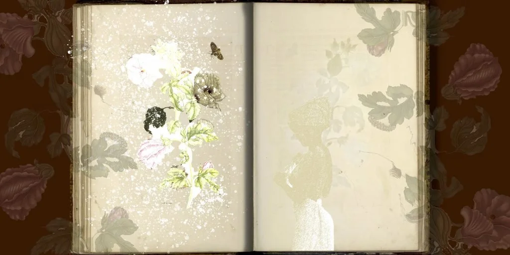 Of Palimpsests and Erasure, 2021

8 digital prints on Hahnemühle paper, each print 50 x 111 cm
Credits: Produced through a commission of Centraal Museum Utrecht
Provenance of the original images of ‘Metamorphosis Insectorum Surinamensium’ by Maria Sy