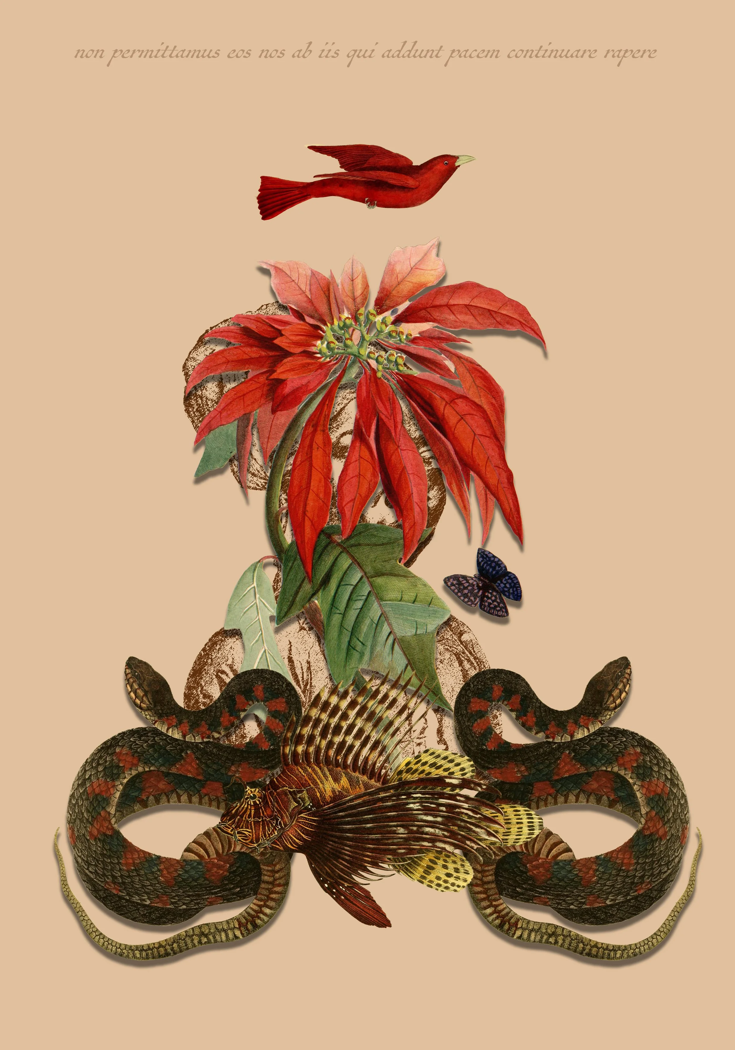 we will not allow them to continue to snatch us from those who add to peace
Digital print on etching paper, blind embossing
55 cm x 78 cm
2024