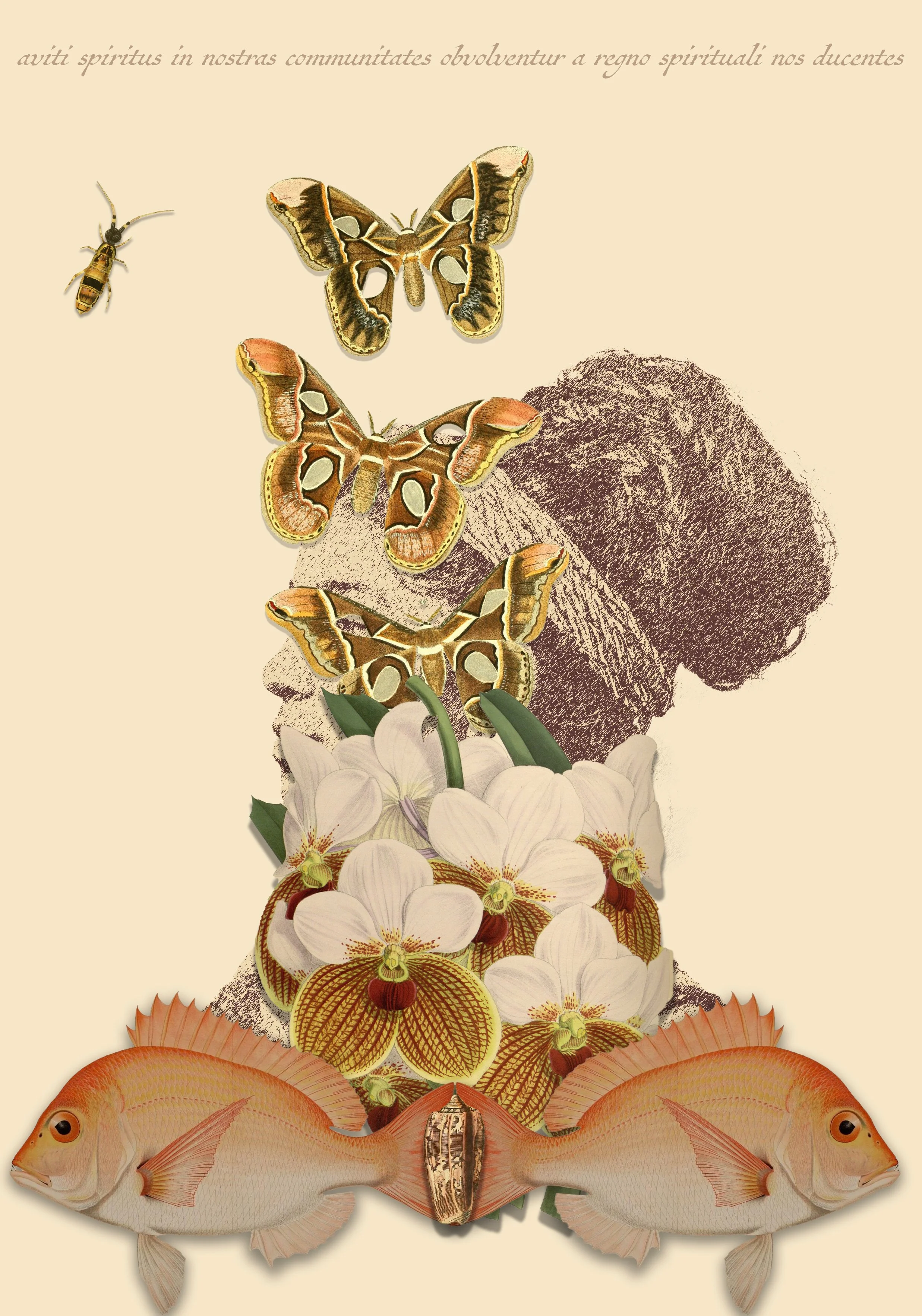 the ancestral spirits will hover over our communities guiding us 
from the spiritual realm 
Digital print on etching paper, blind embossing
55 cm x 78 cm
2024