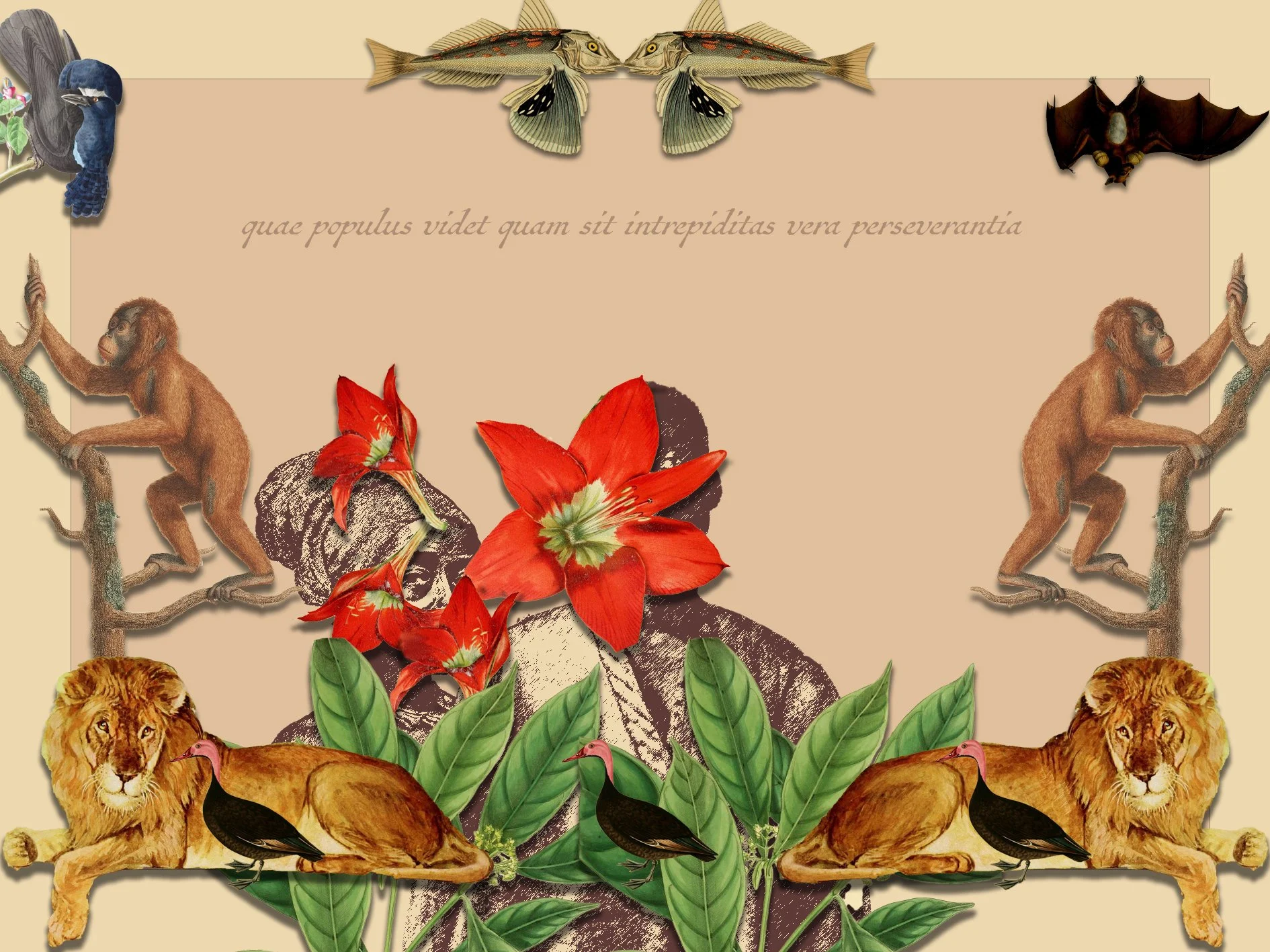 What people see as fearlessness is really persistence
Digital print on cotton mounted on paper, mixed media
110 cm x 82 cm
2024