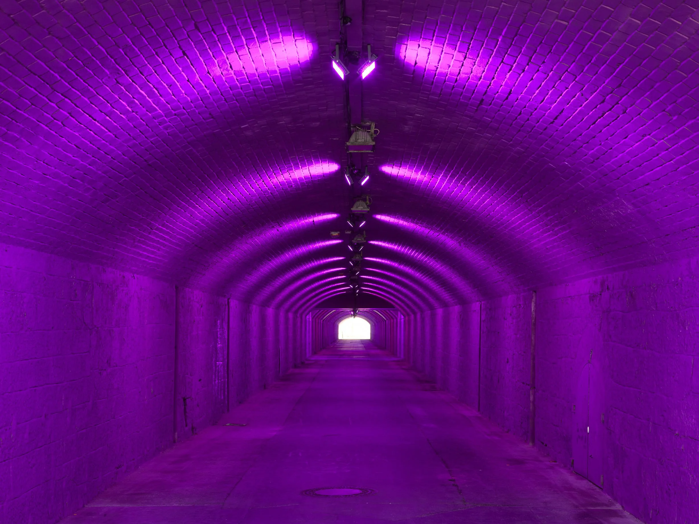 Patricia Kaersenhout, Aorta, 2020

Intervention in public space in Chemnitz (DE)
part of the manifestation ‘Gegenwarten | Presences Chemnitz’ running from 15 August till 25 October 2020.
The exhibition is curated by Florian Matzner and Sarah Sigmund,