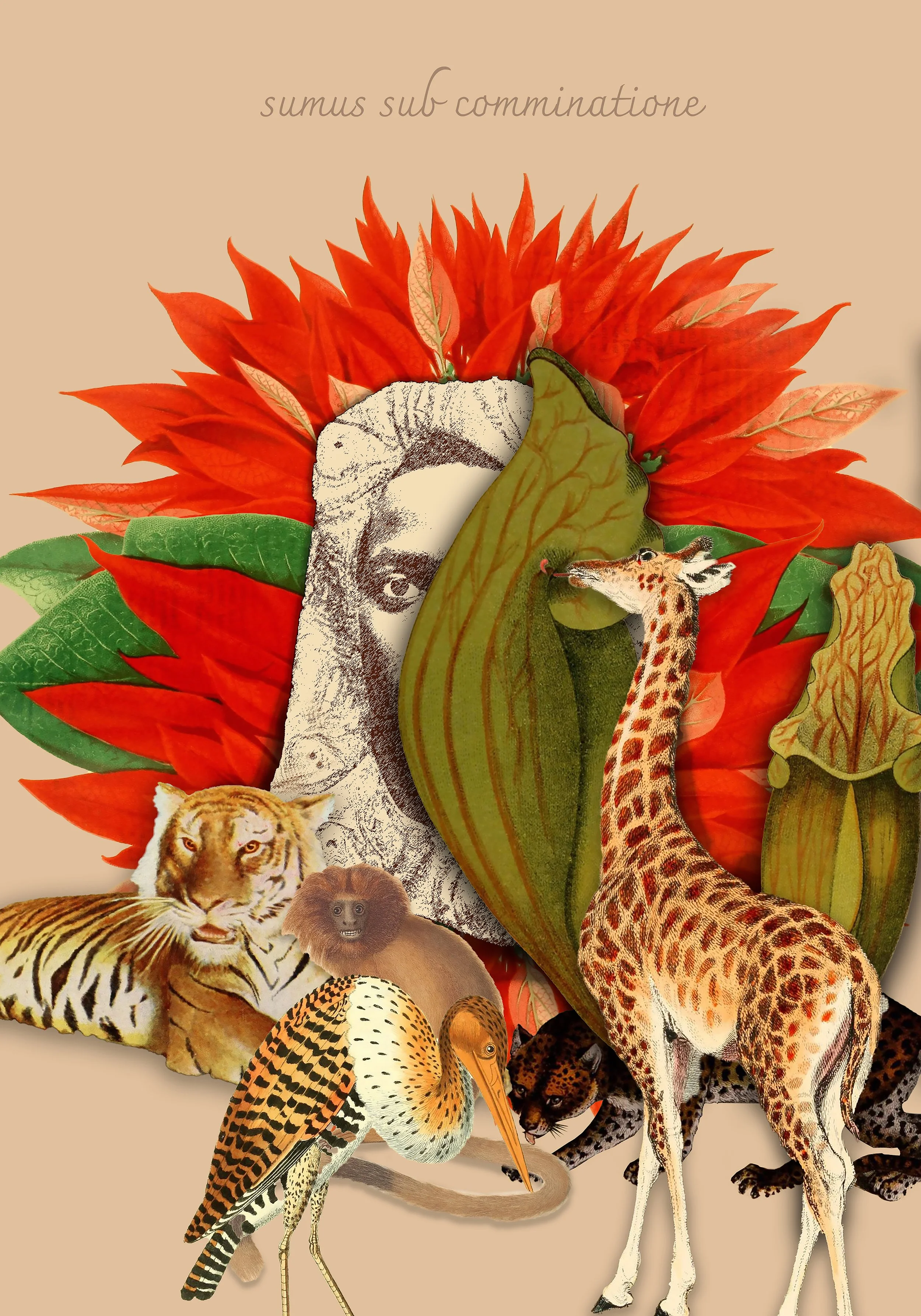 we are under constant threat
Digital print on etching paper, blind embossing
55 cm x 78 cm
2024