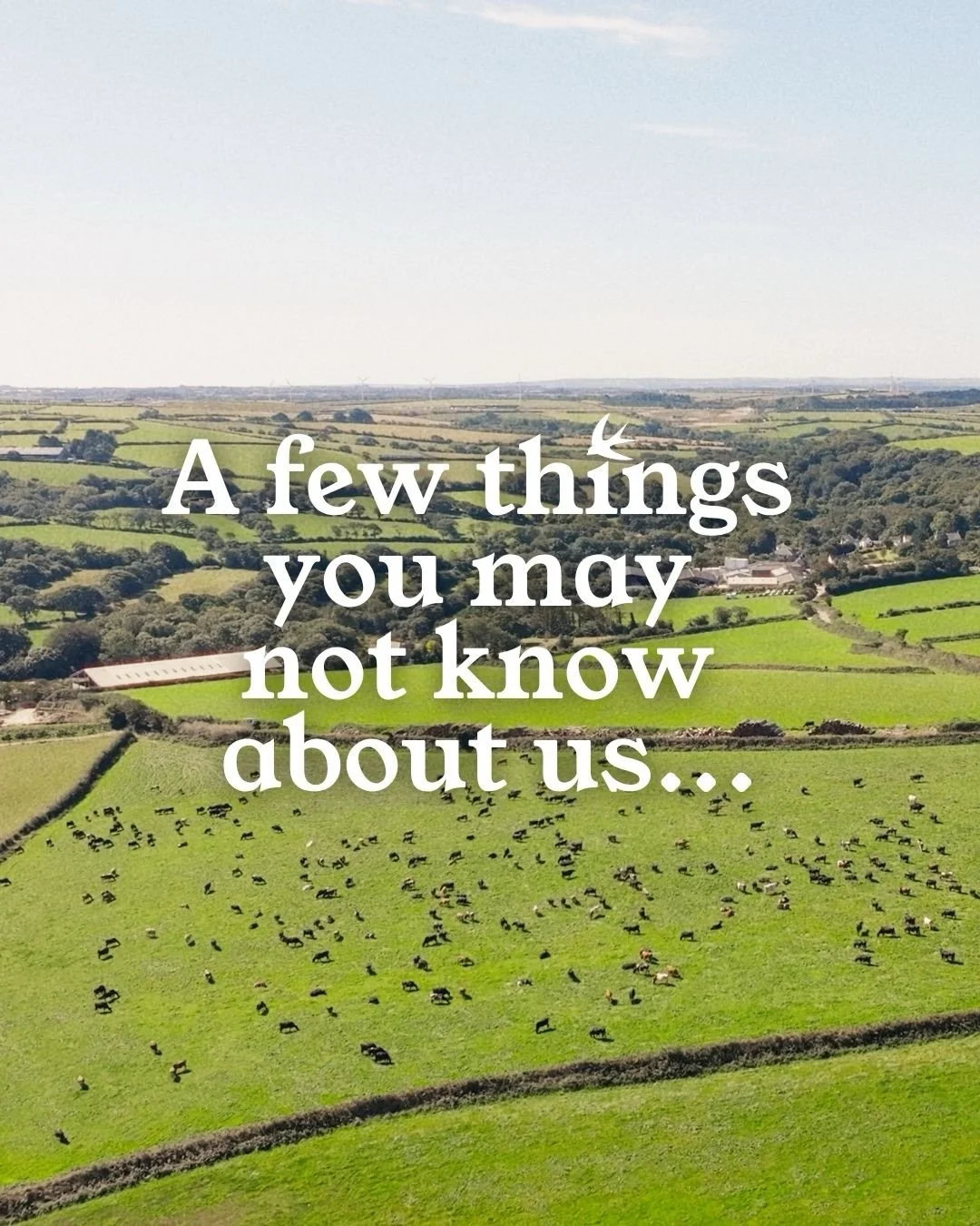 A few things you may not know about @callestickfarm 🍦

&hellip;the last one we get a lot! 😅🙈

#CallestickFarm #Callestick #CornishProducer #CornishIceCream #AScoopOfCornwall