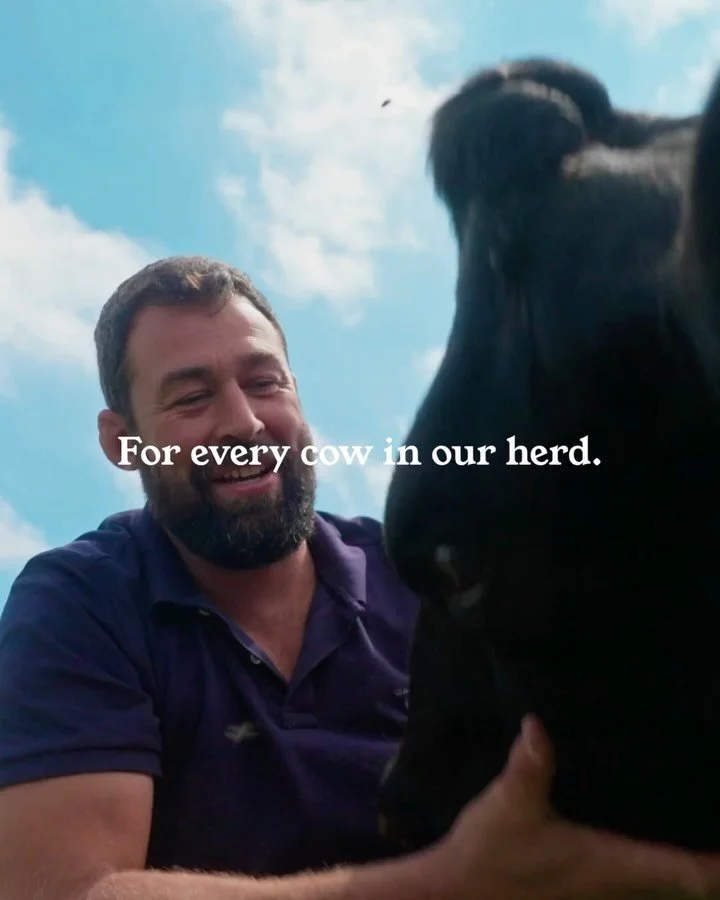 Our herd is and always will be at the heart of everything we do 🐮

@backbritishfarmingnfu #backbritishfarming🇬🇧 

#CallestickFarm #CornishFarmers #DairyFarmers #AScoopOfCornwall