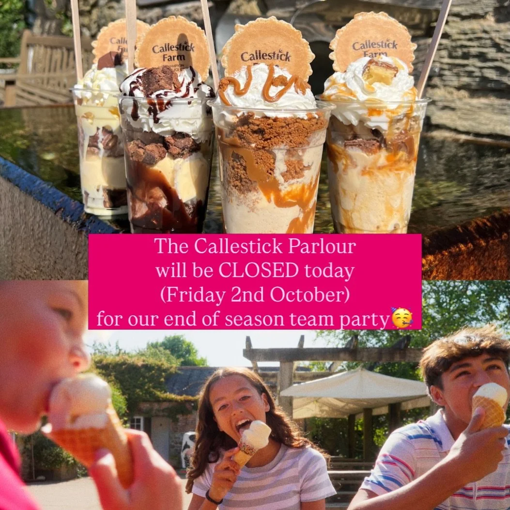 Closed today 🩷

The Callestick parlour will be closed today (Friday 2nd October) for a private event.

It&rsquo;s our end of season party to say thank you to the whole Callestick team for an incredible summer 🥳

We will be back open as usual on Sat