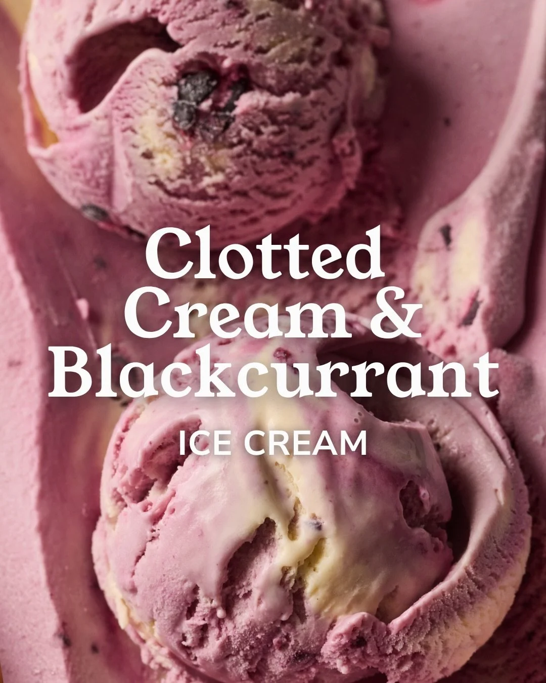 Clotted Cream &amp; Blackcurrant 💜

Our luxuriously creamy signature ice cream base is made with rich Cornish clotted cream and generously swirled with a sweet blackcurrant compote for a deliciously indulgent taste in every scoop.

#CallestickFarm #