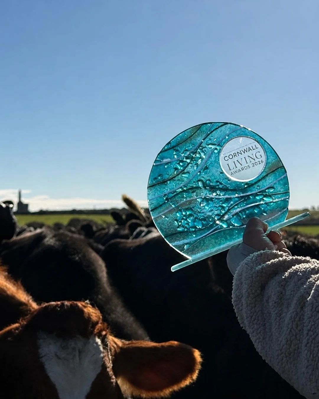 Forgive us, we just had to tell the girls first&hellip; 🏆🍦🐄

We&rsquo;re over the moon to announce we have won the Food &amp; Drink Producer award at the @cornwalllivinguk &amp; @driftjournaluk Awards! 🤩👏🙌

A massive thank you to everyone who v