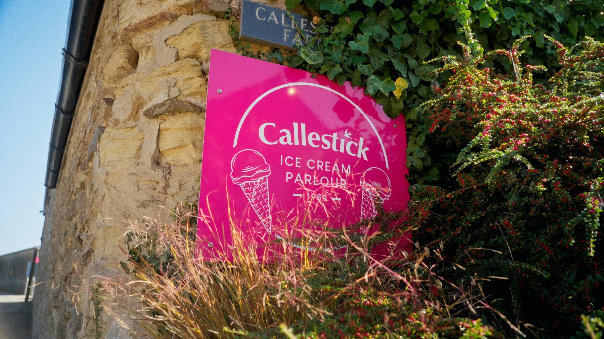 Pink sign for Callestick Ice Cream Parlour attached to a stone wall, surrounded by green plants with pink and red berries.