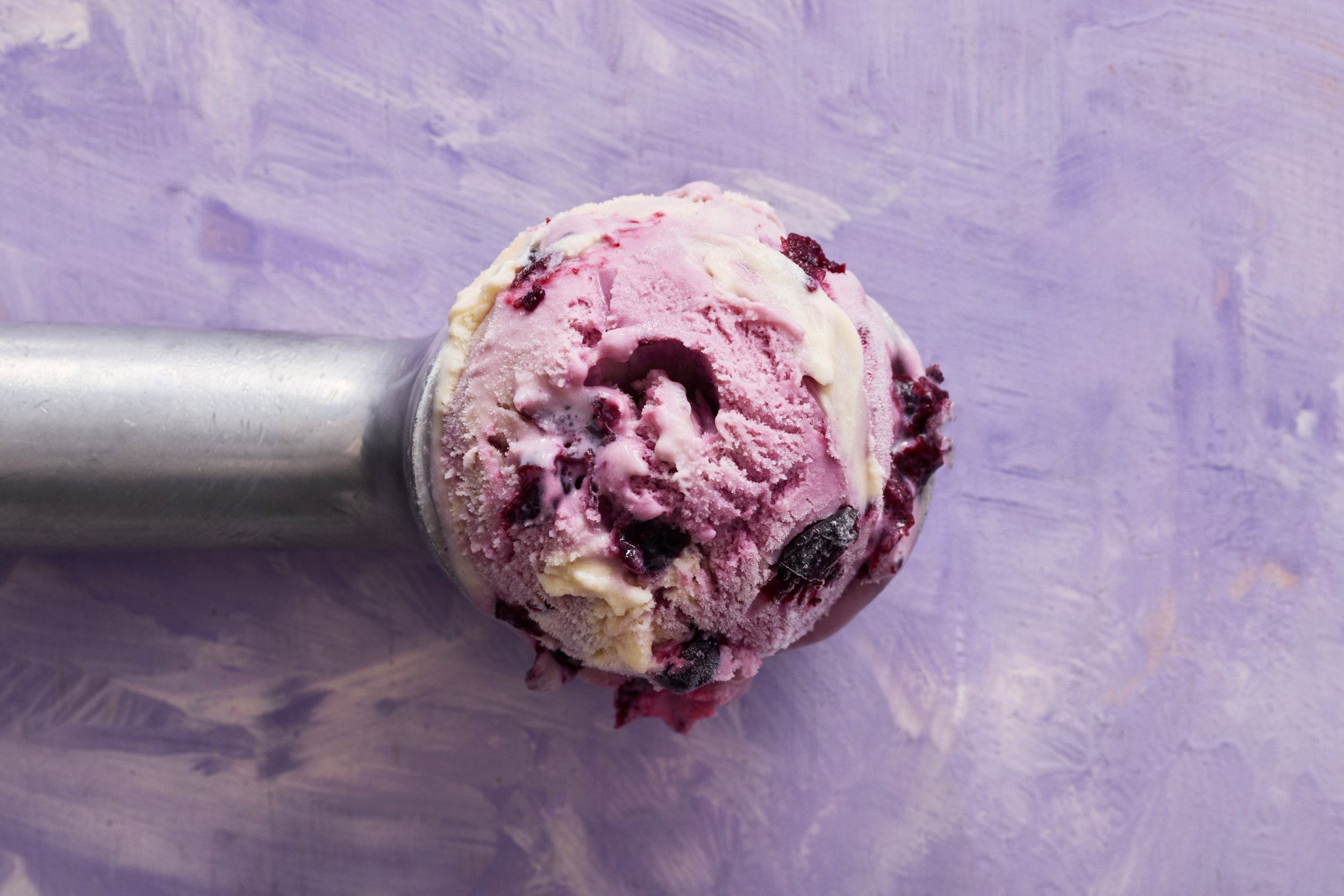 callestick-farm-cornish-ice-cream-49.jpg