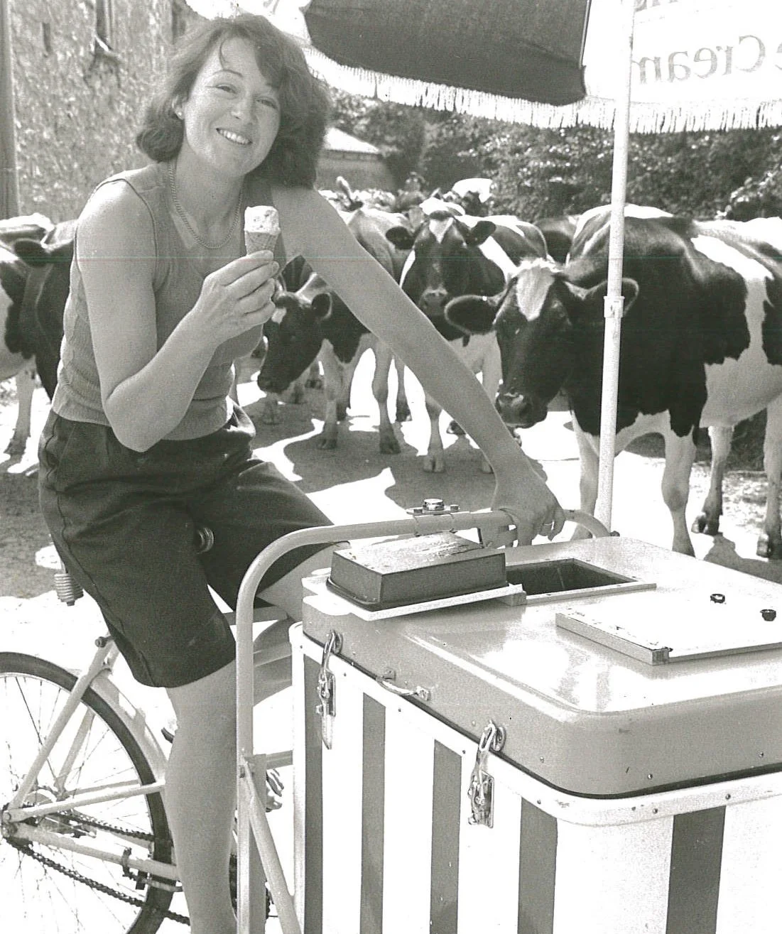 A woman smiling and holding an ice cream cone while riding a bicycle with a large cooler attached, outdoors near a group of cows.