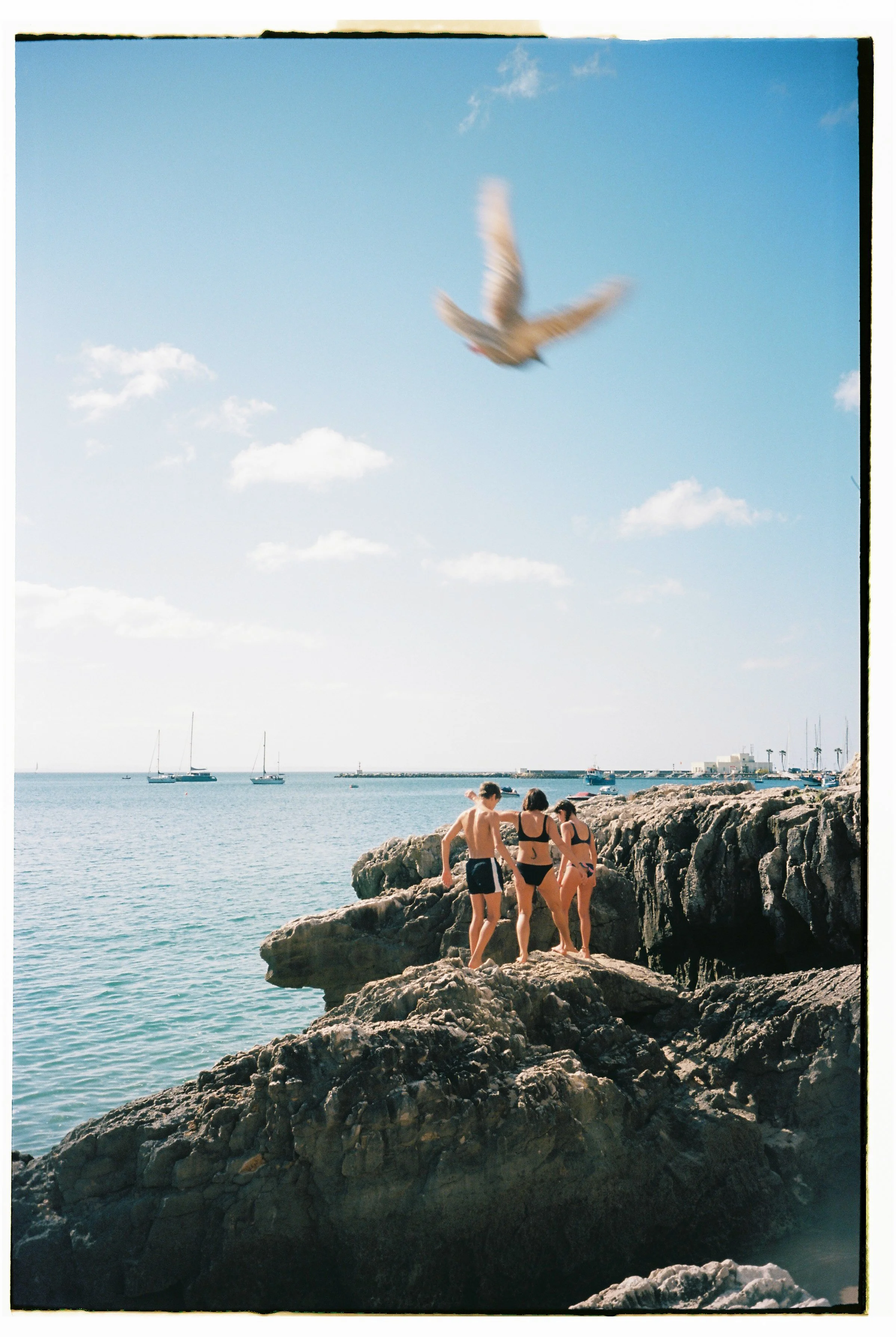 Roee Biton-28.jpg